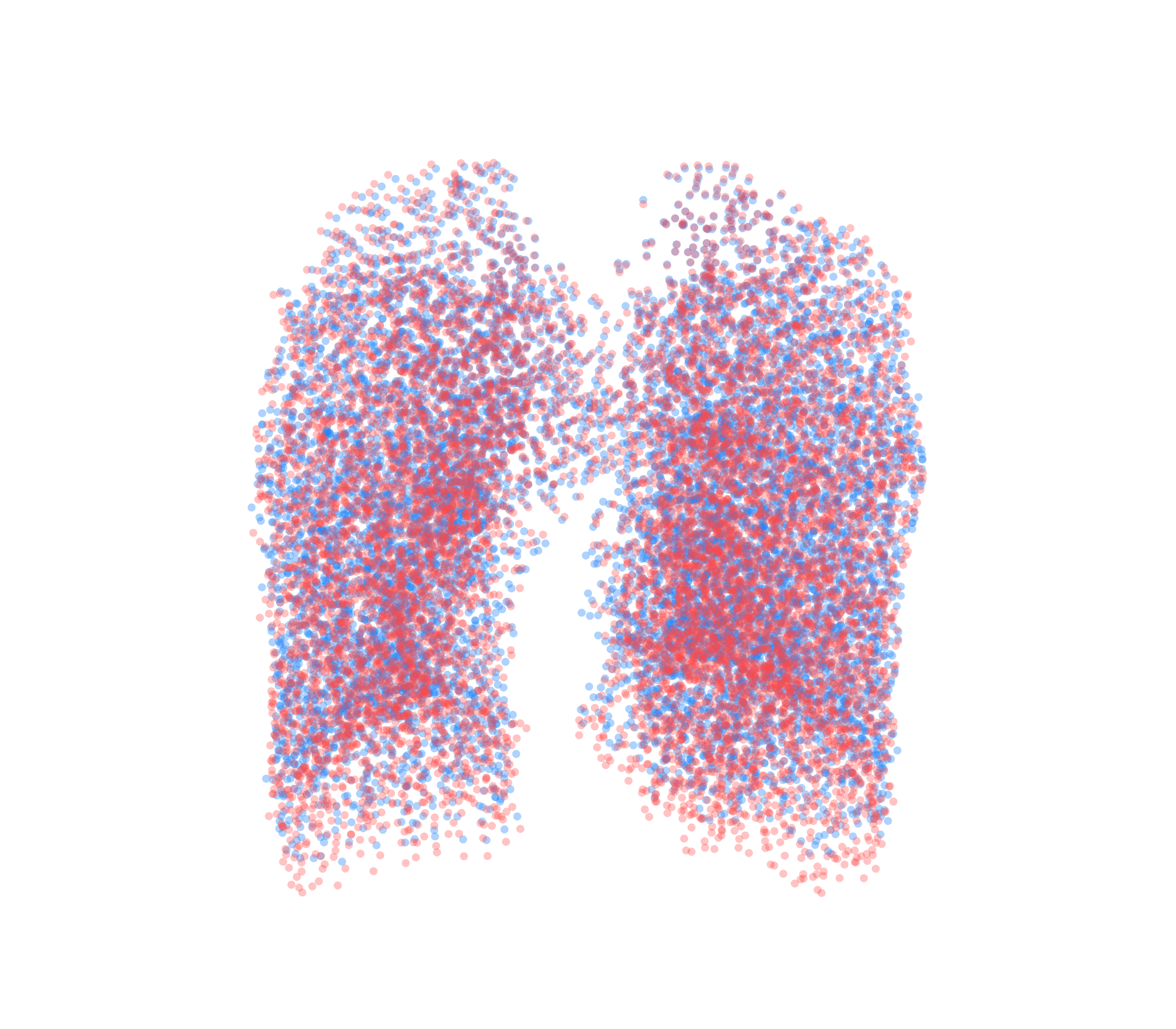 Point Cloud - Front View