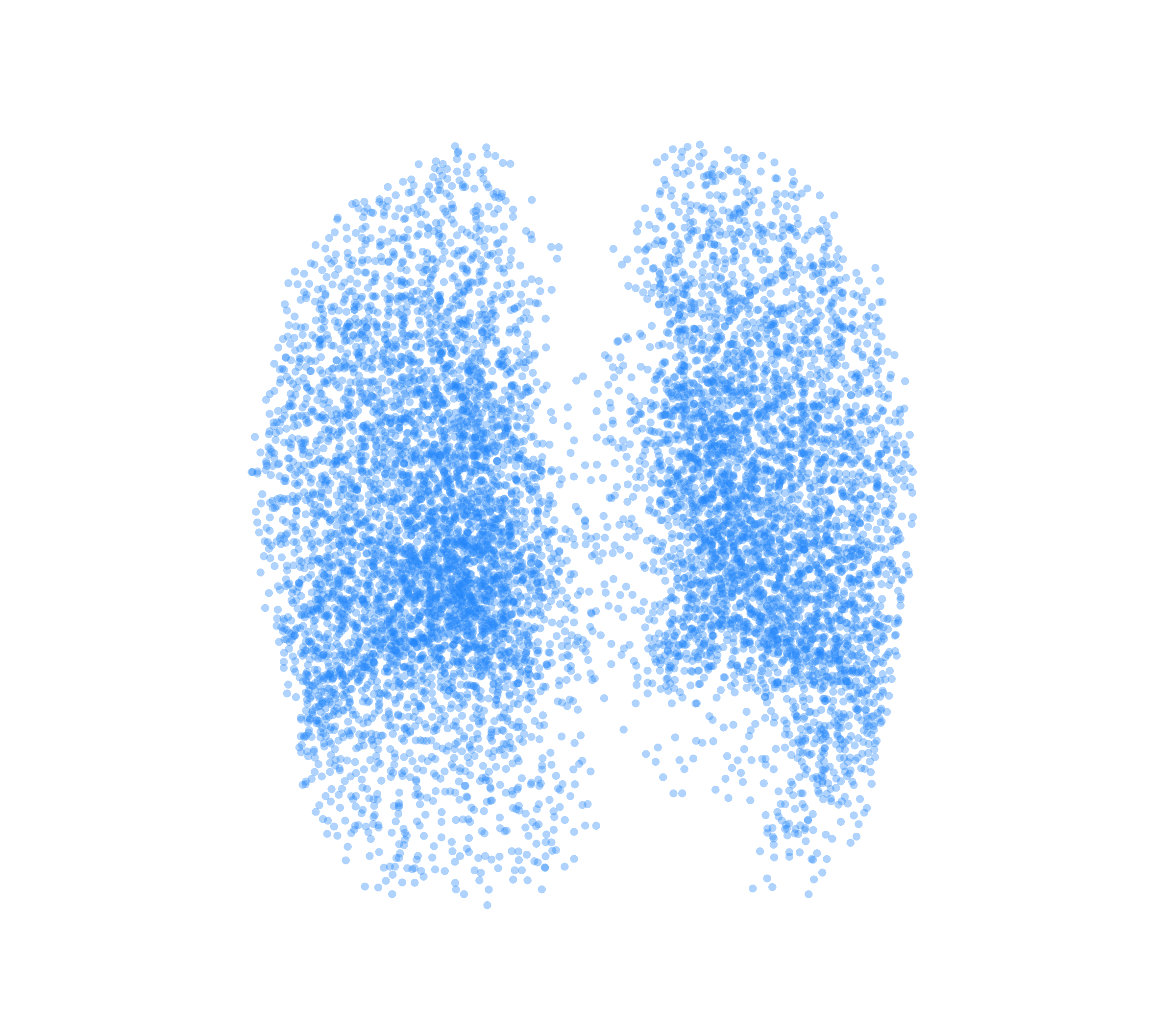 Point Cloud (Inspiration) - Back View