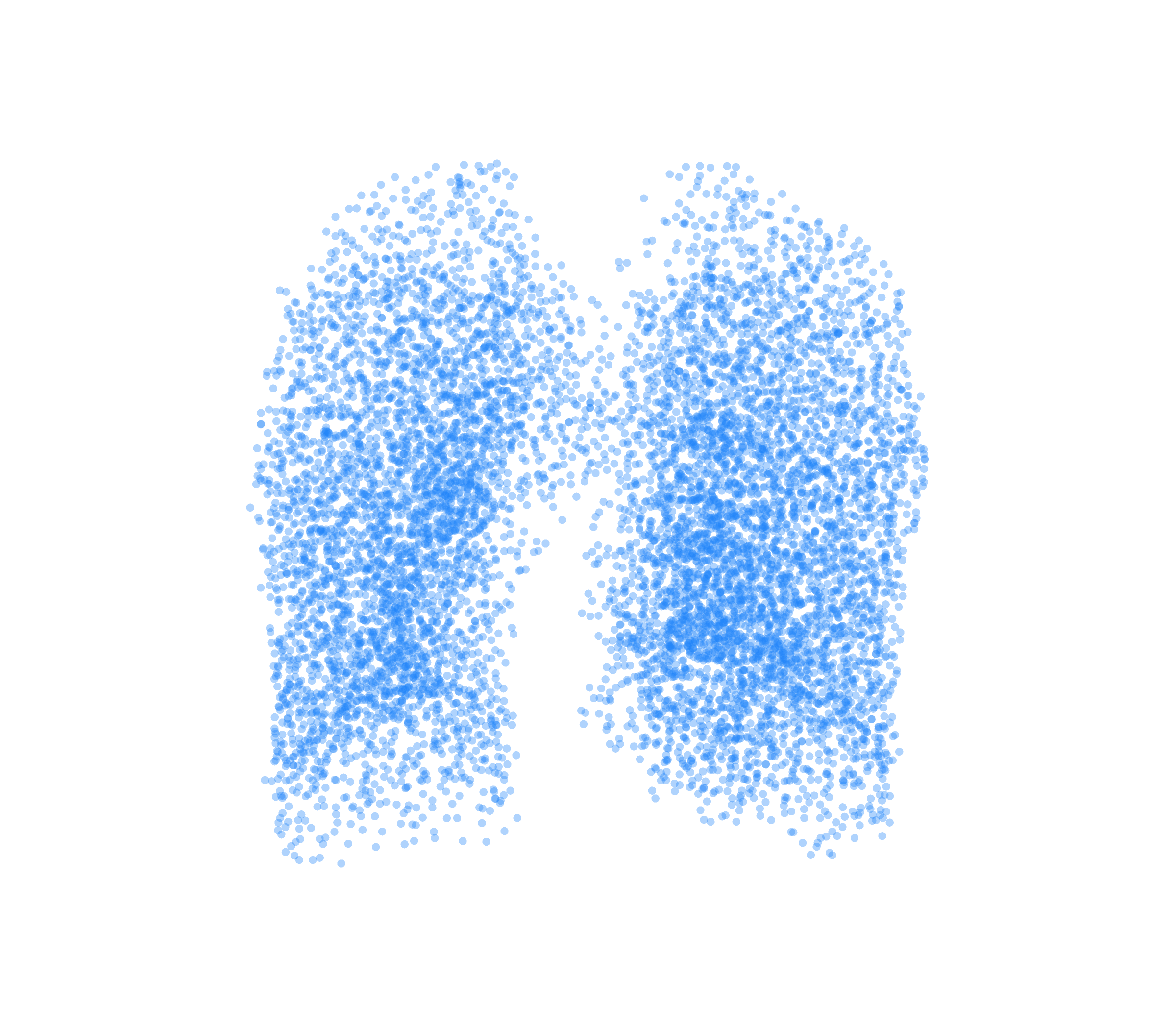 Point Cloud (Inspiration) - Front View