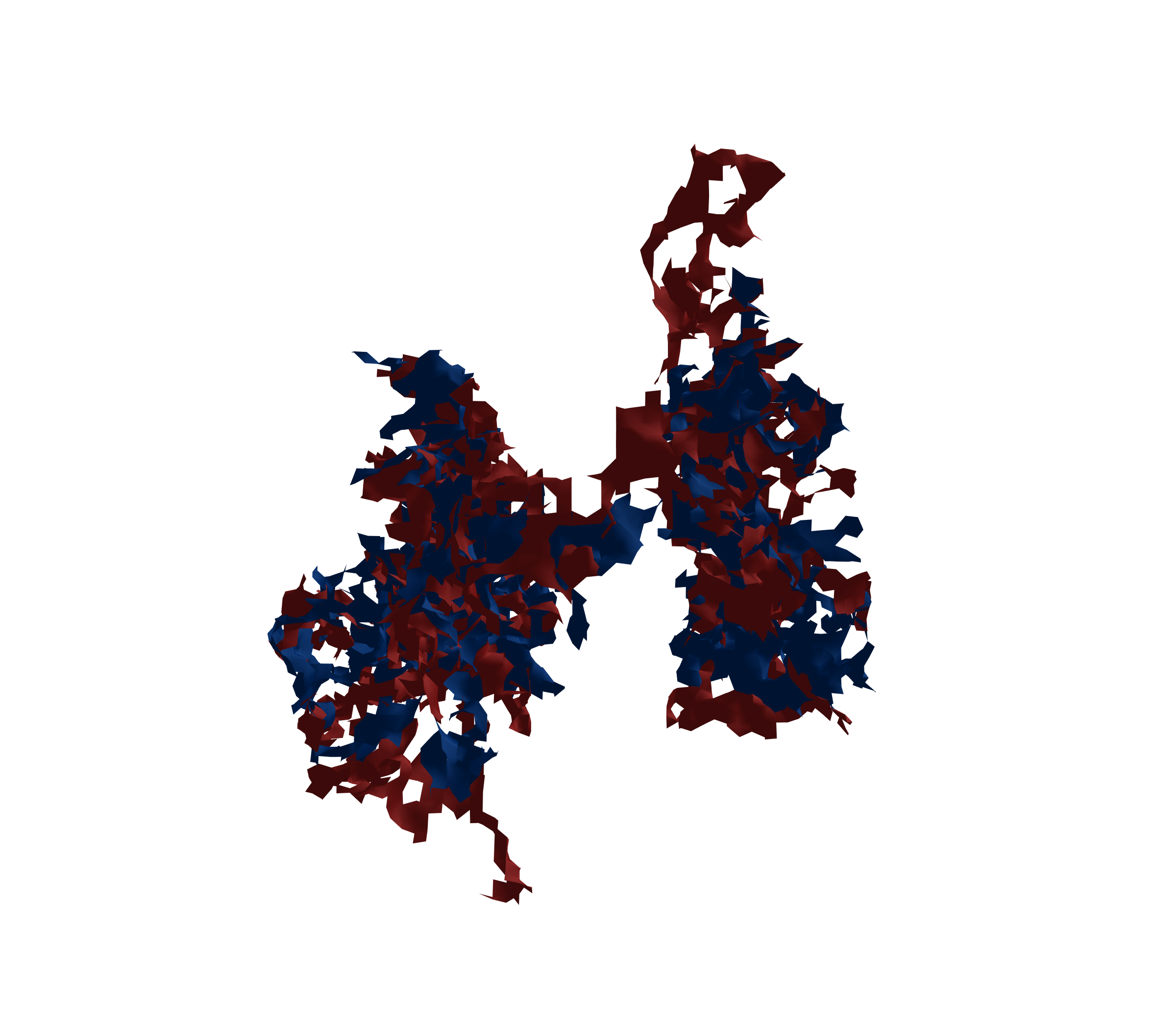 Surface Mesh - Back View