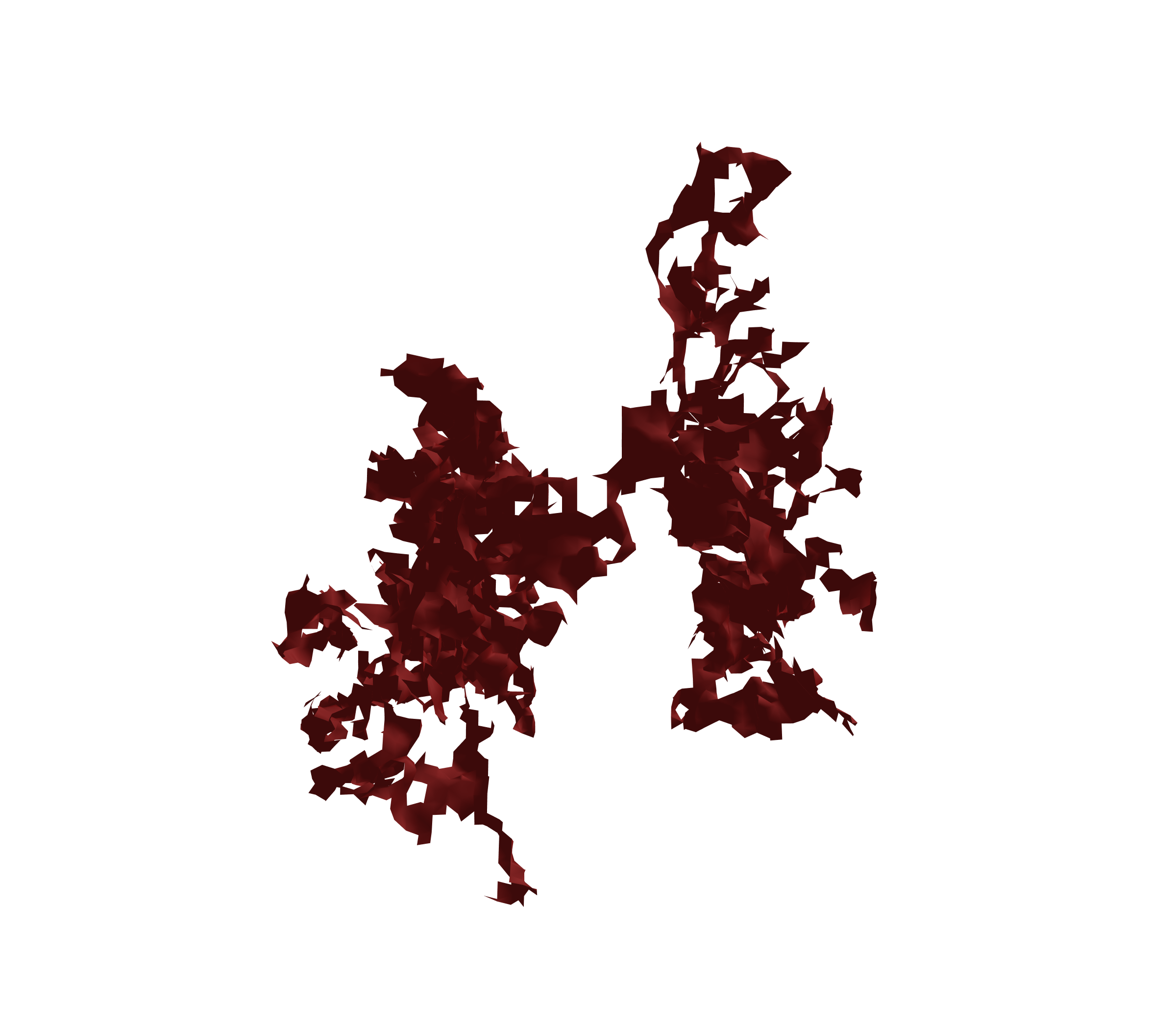 Surface Mesh (Expiration) - Back View