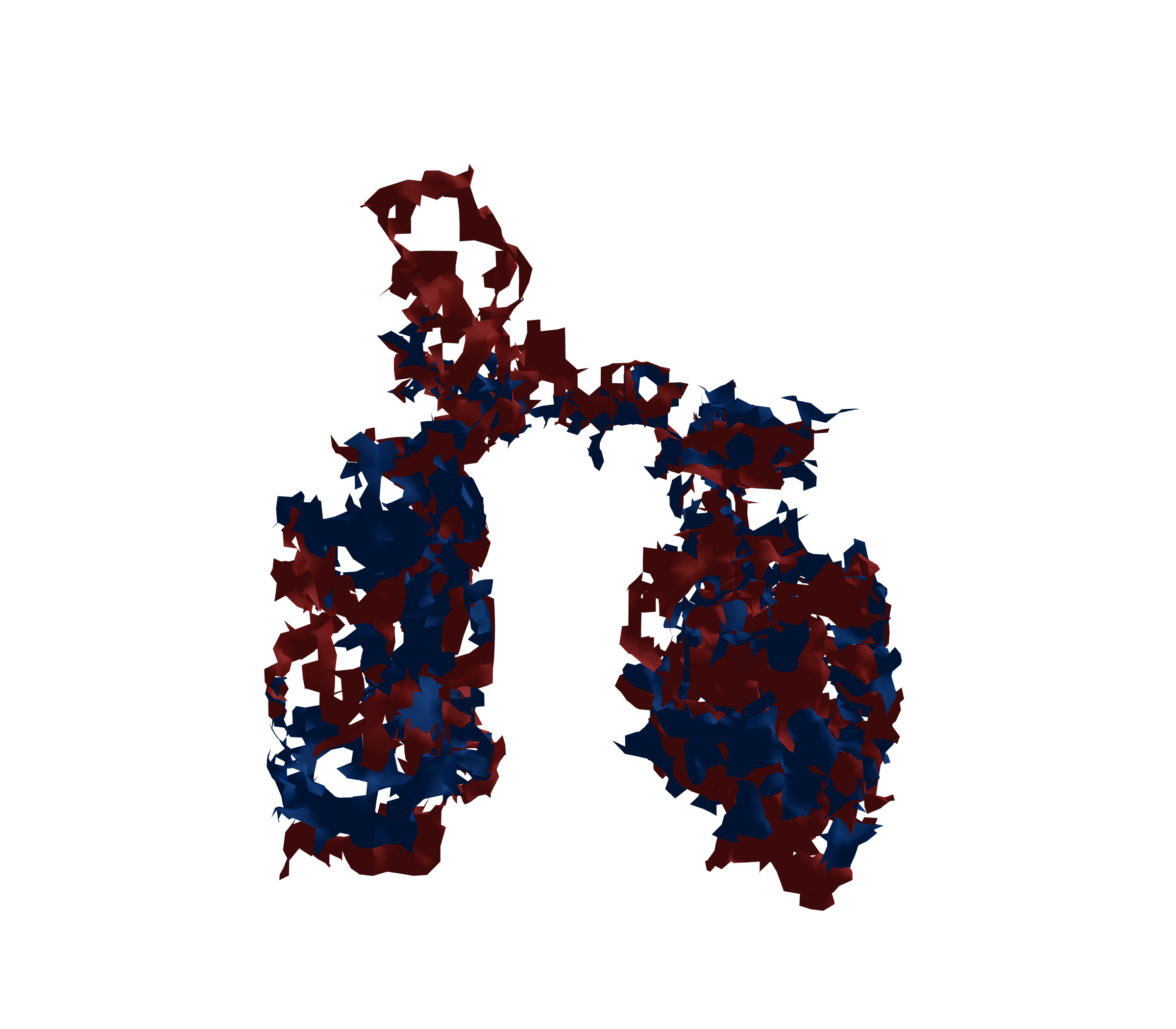 Surface Mesh - Front View