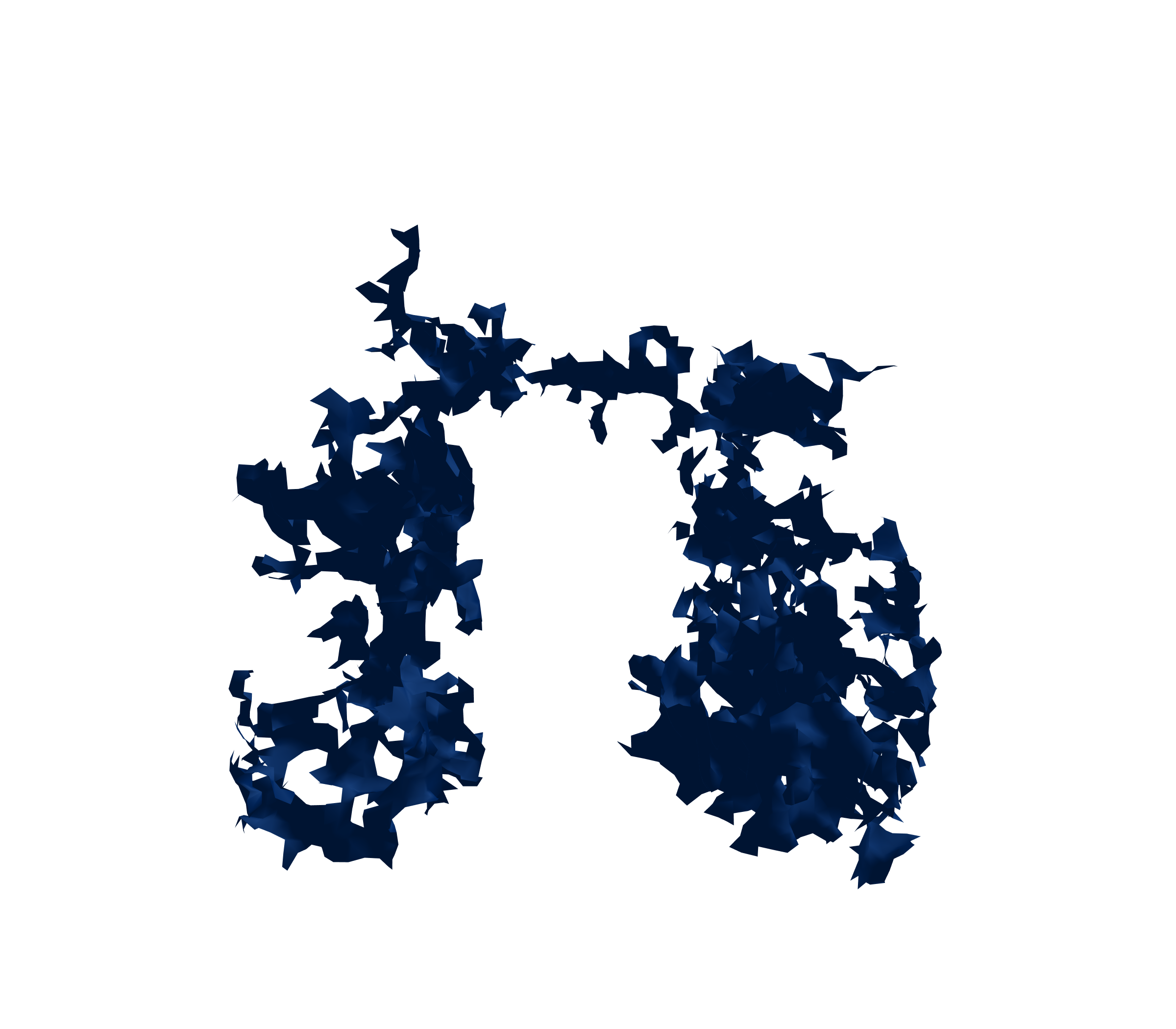 Surface Mesh (Inspiration) - Front View