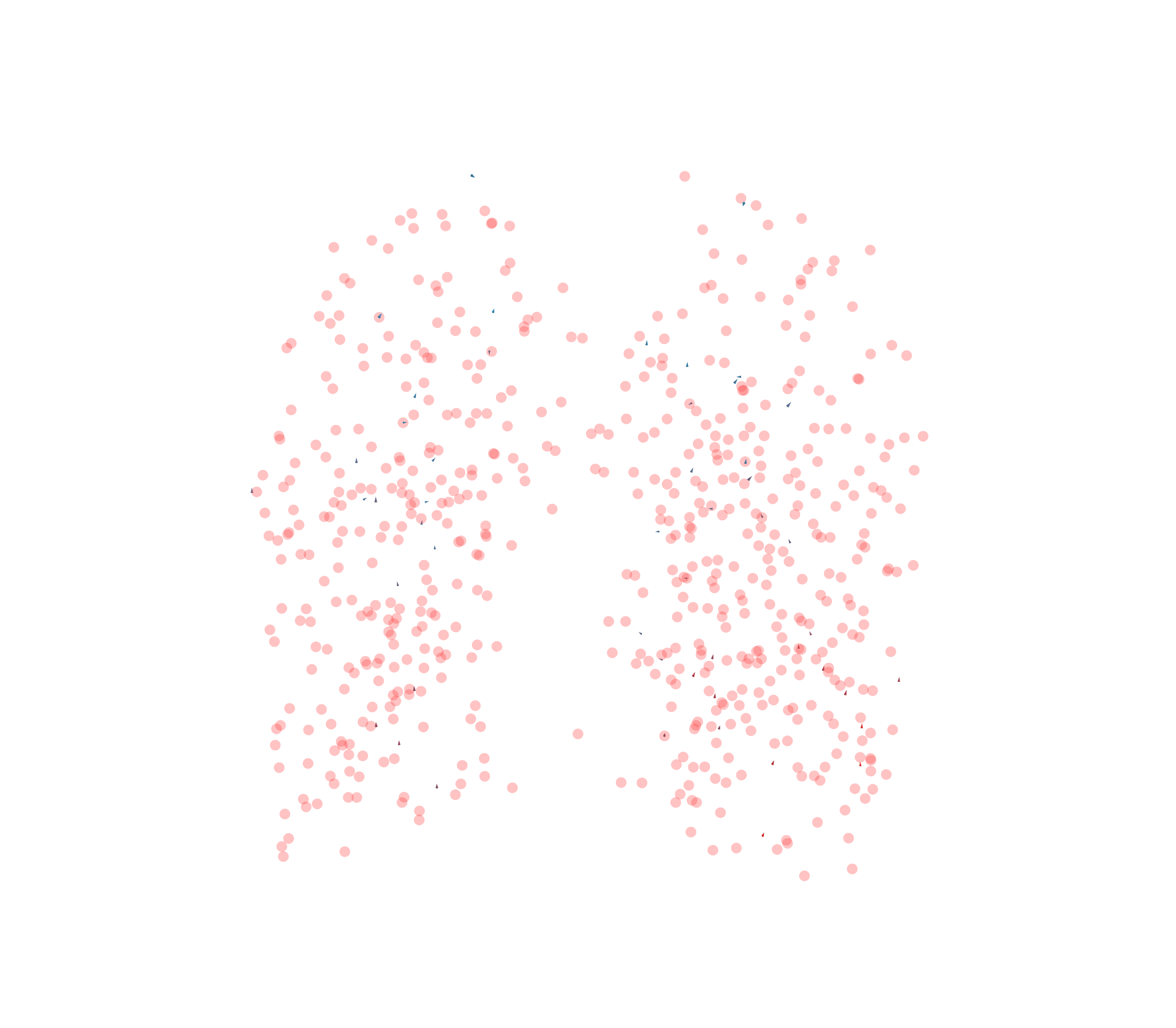 Displacement Vectors - Front View