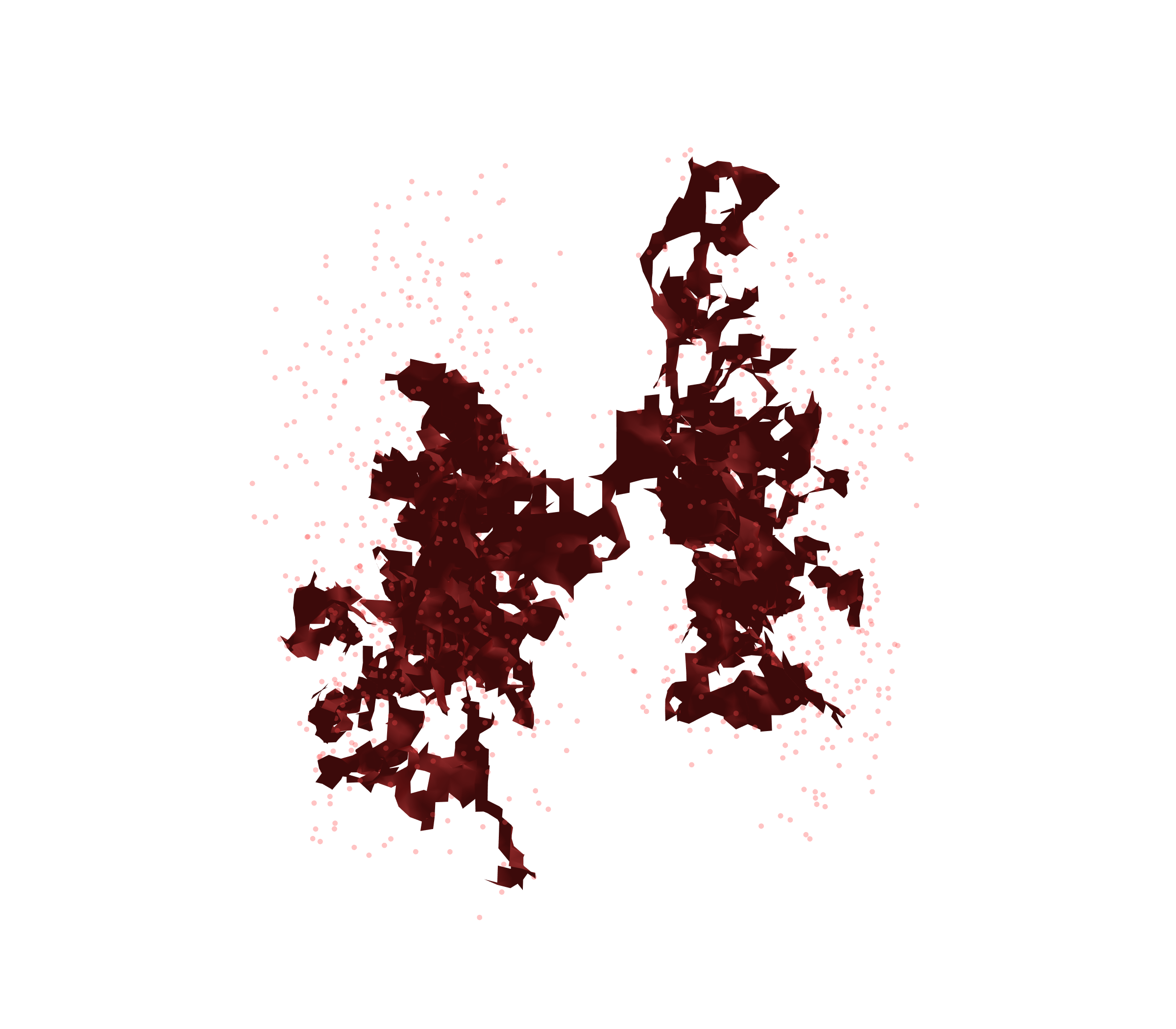 Combined Visualization (Expiration) - Back View