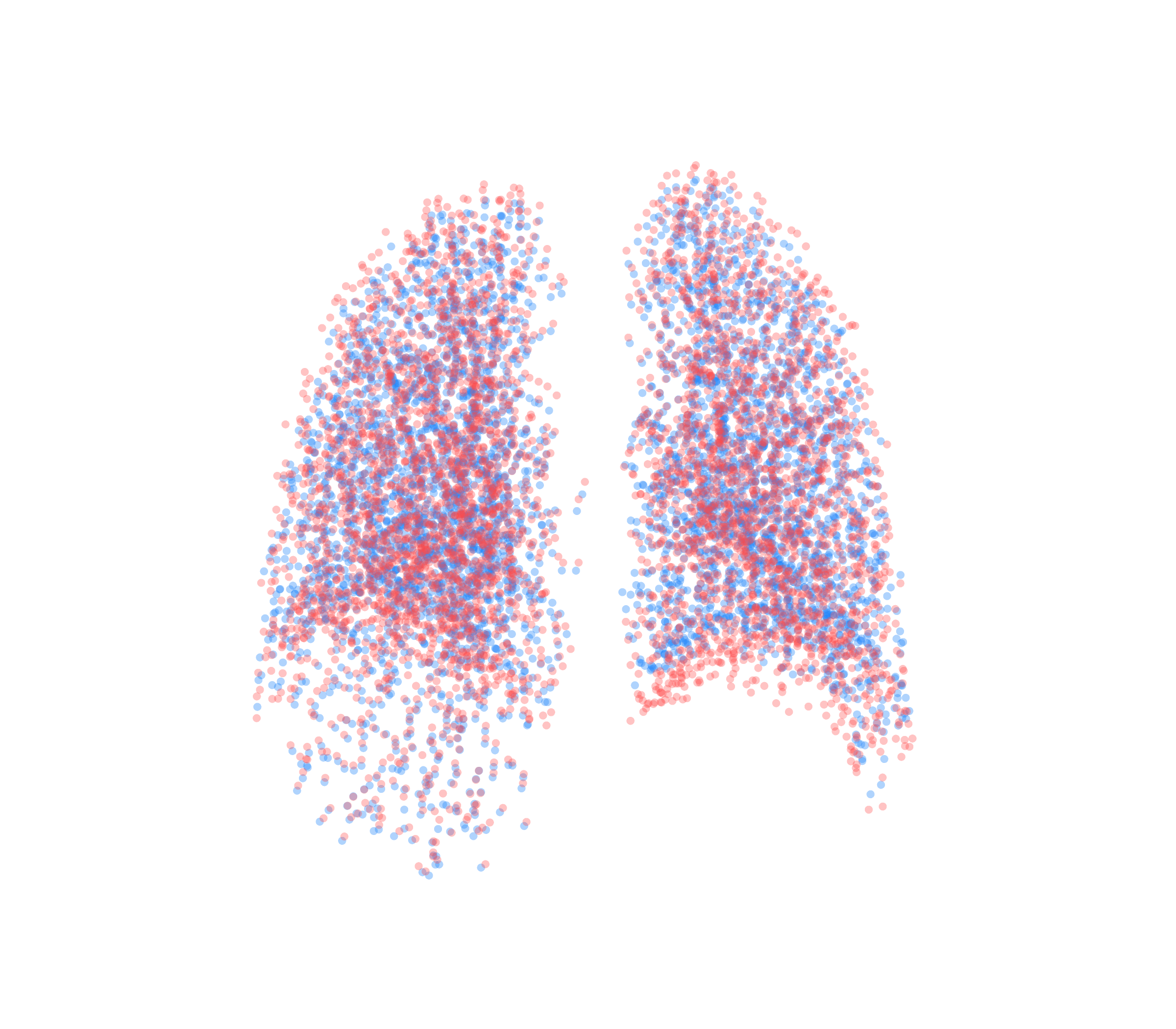 Point Cloud - Back View
