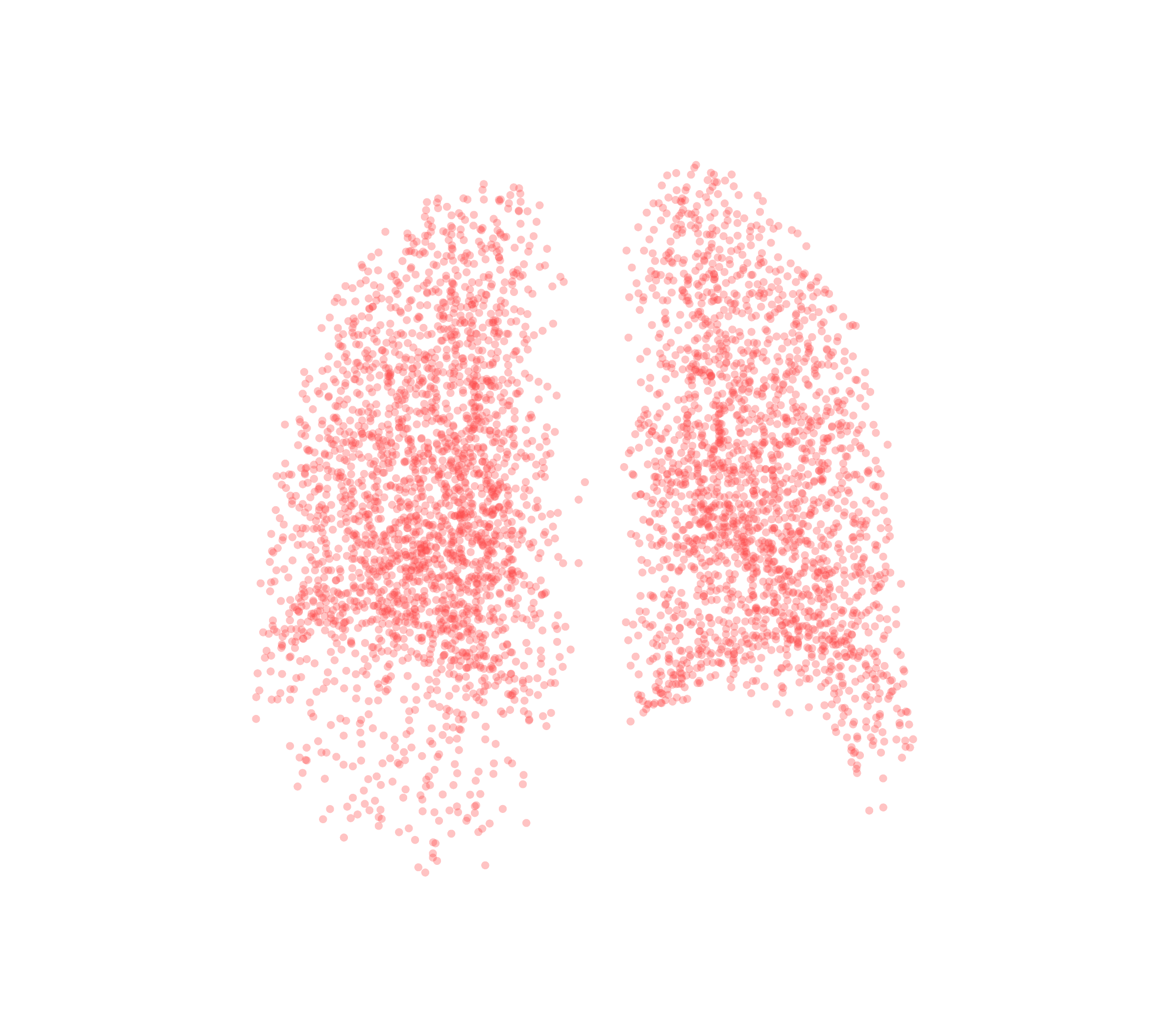 Point Cloud (Expiration) - Back View