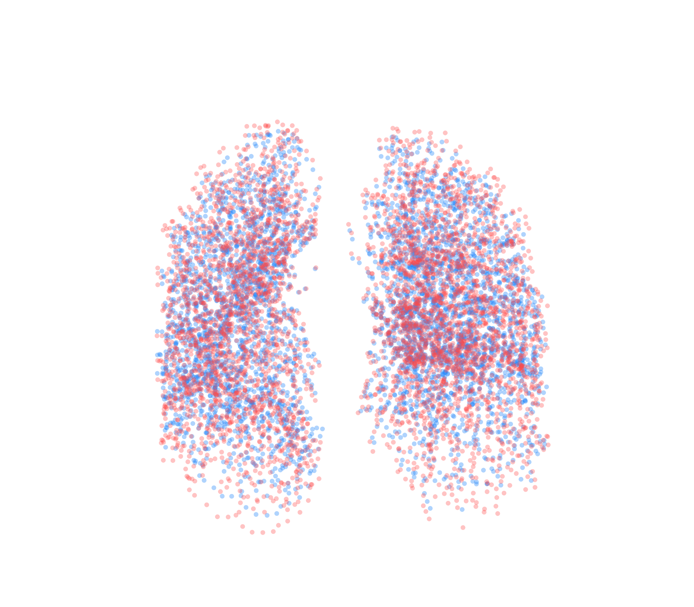 Point Cloud - Front View