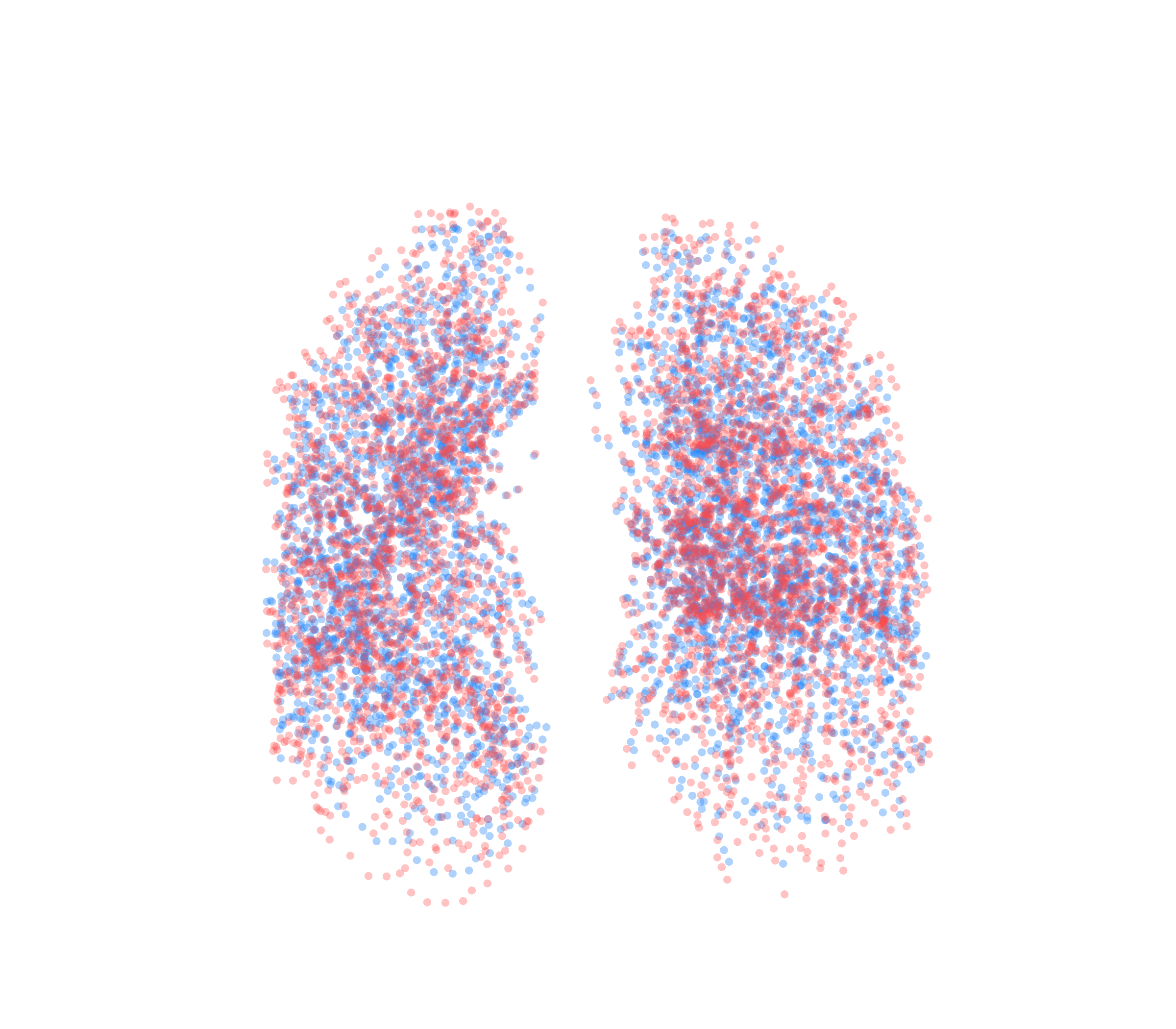 Point Cloud - Front View