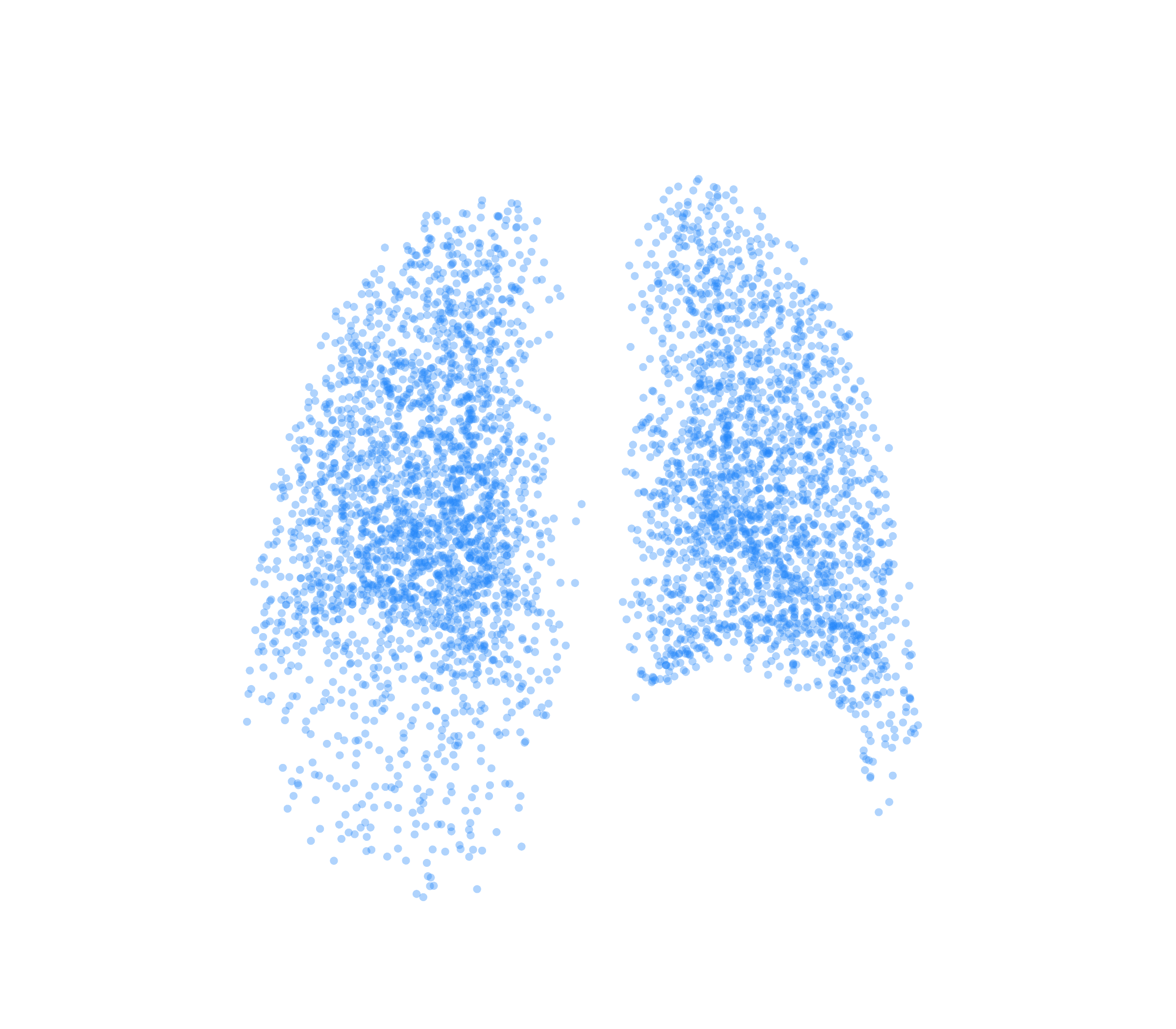 Point Cloud (Inspiration) - Back View
