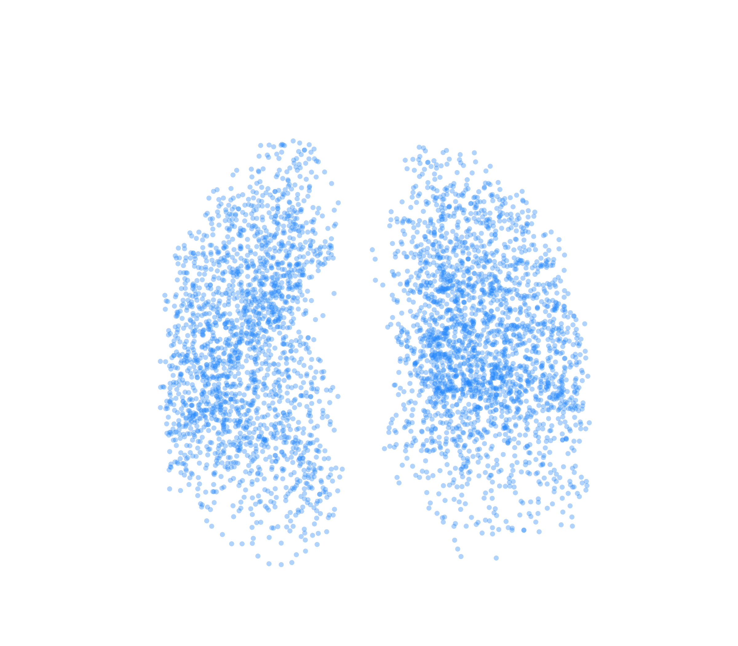 Point Cloud (Inspiration) - Front View