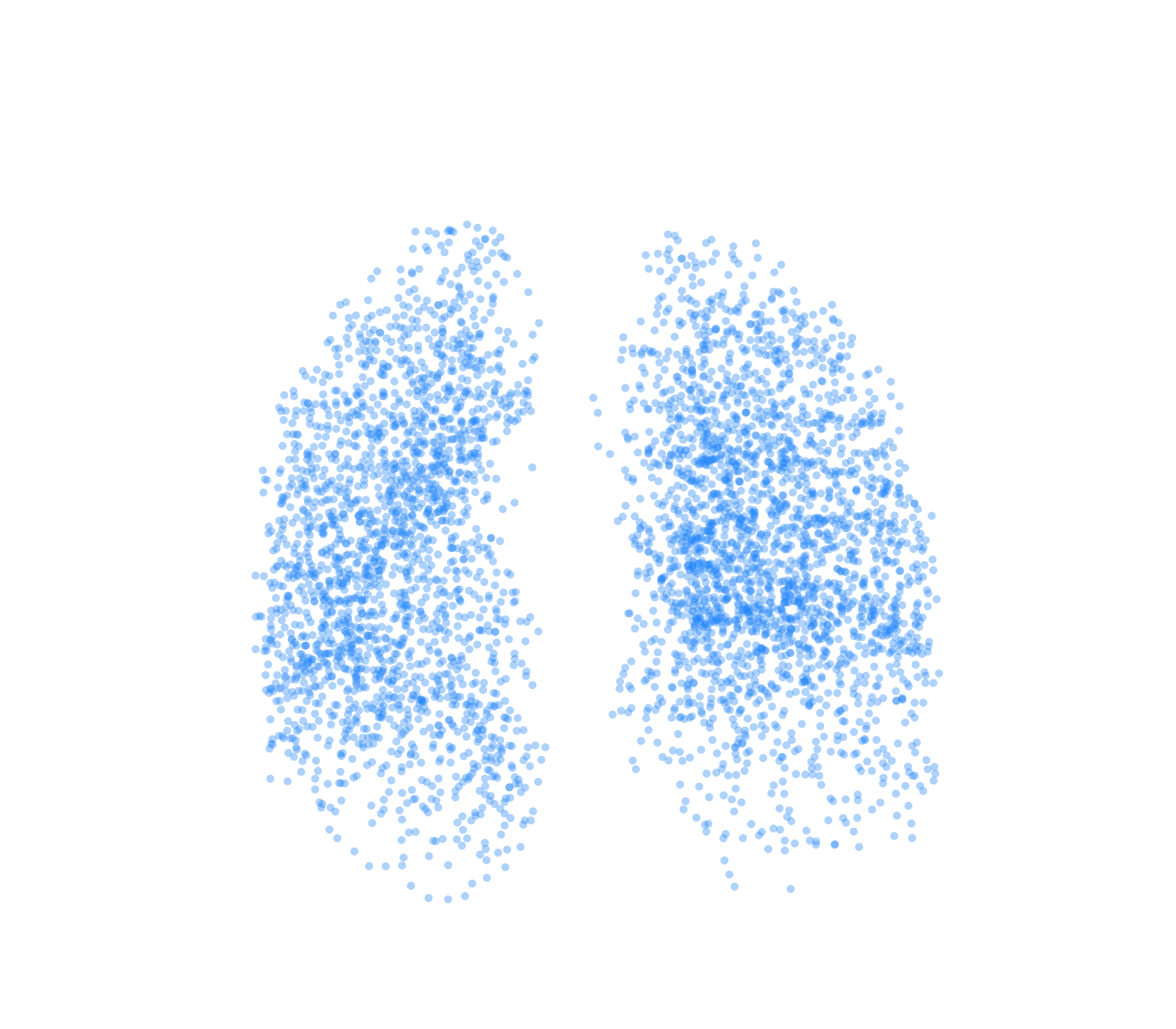 Point Cloud (Inspiration) - Front View