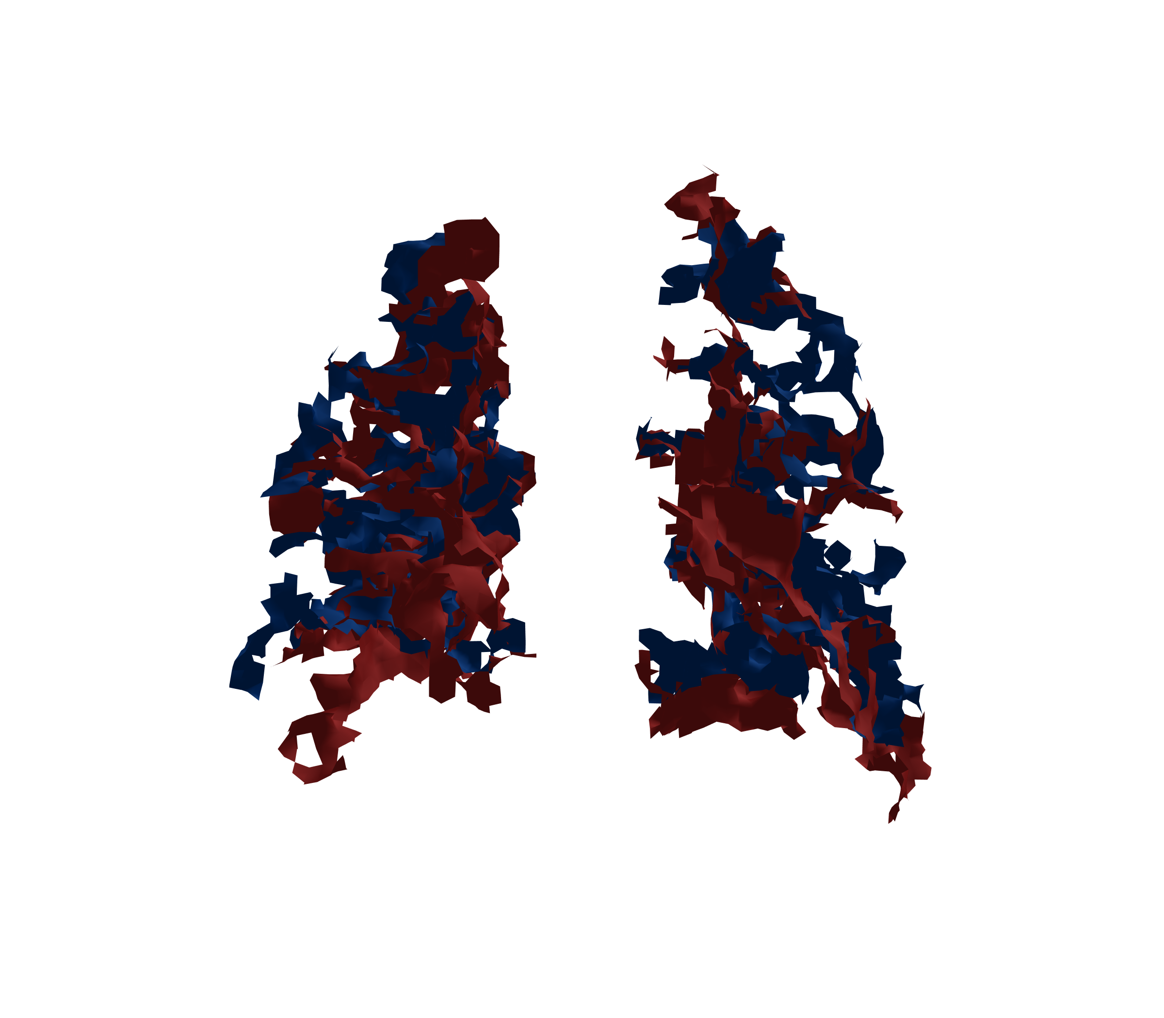 Surface Mesh - Back View