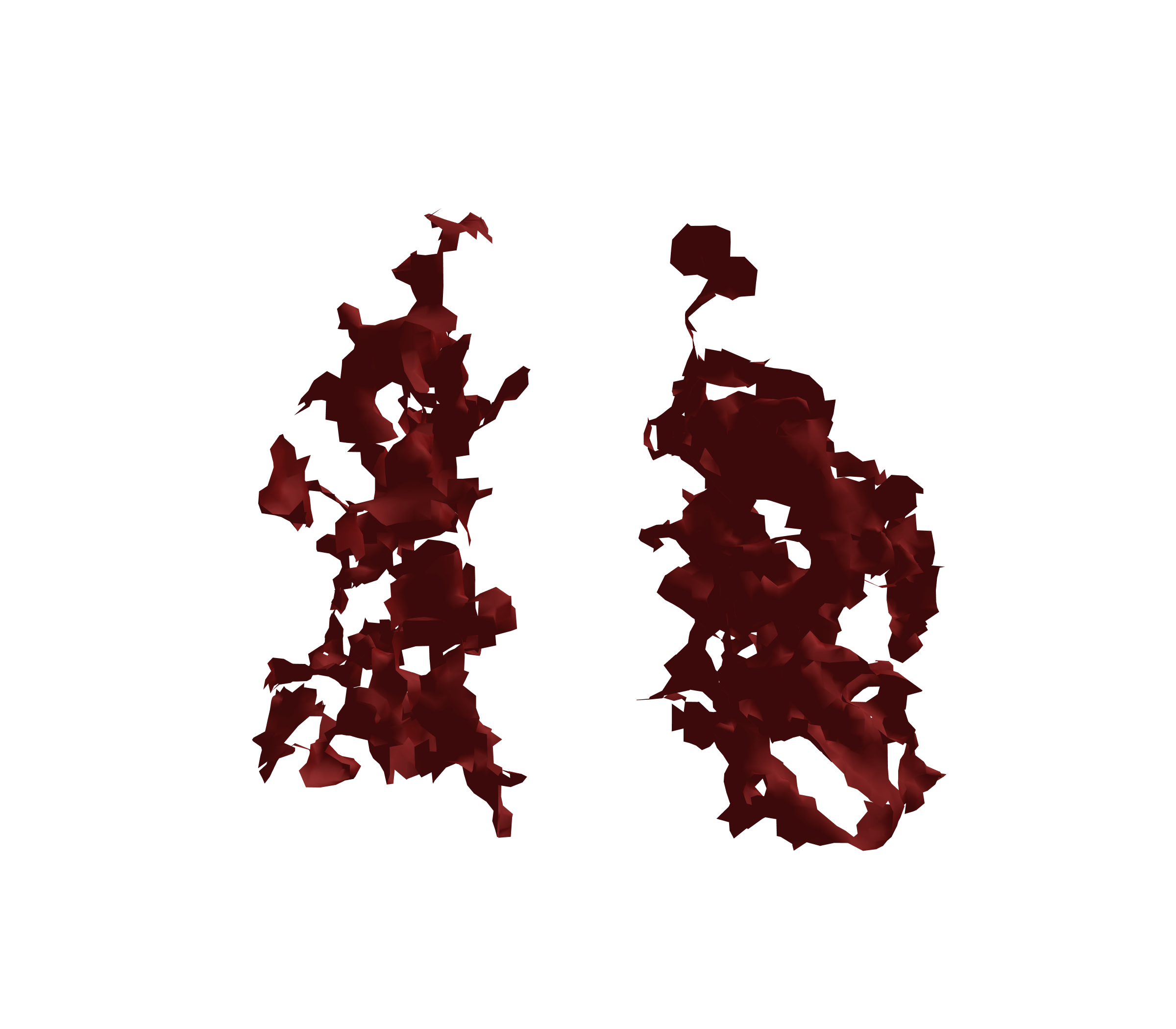 Surface Mesh (Expiration) - Front View