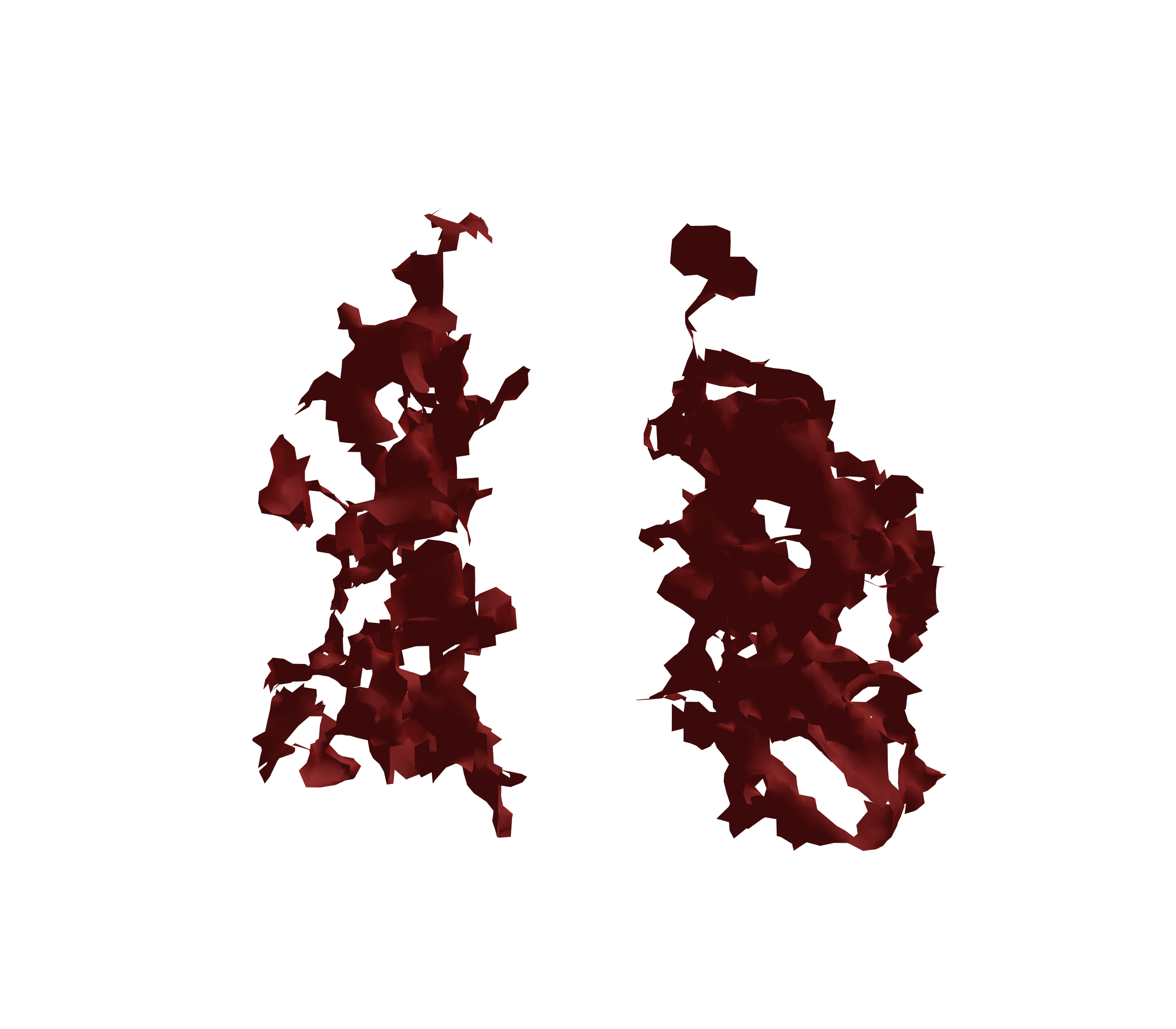 Surface Mesh (Expiration) - Front View