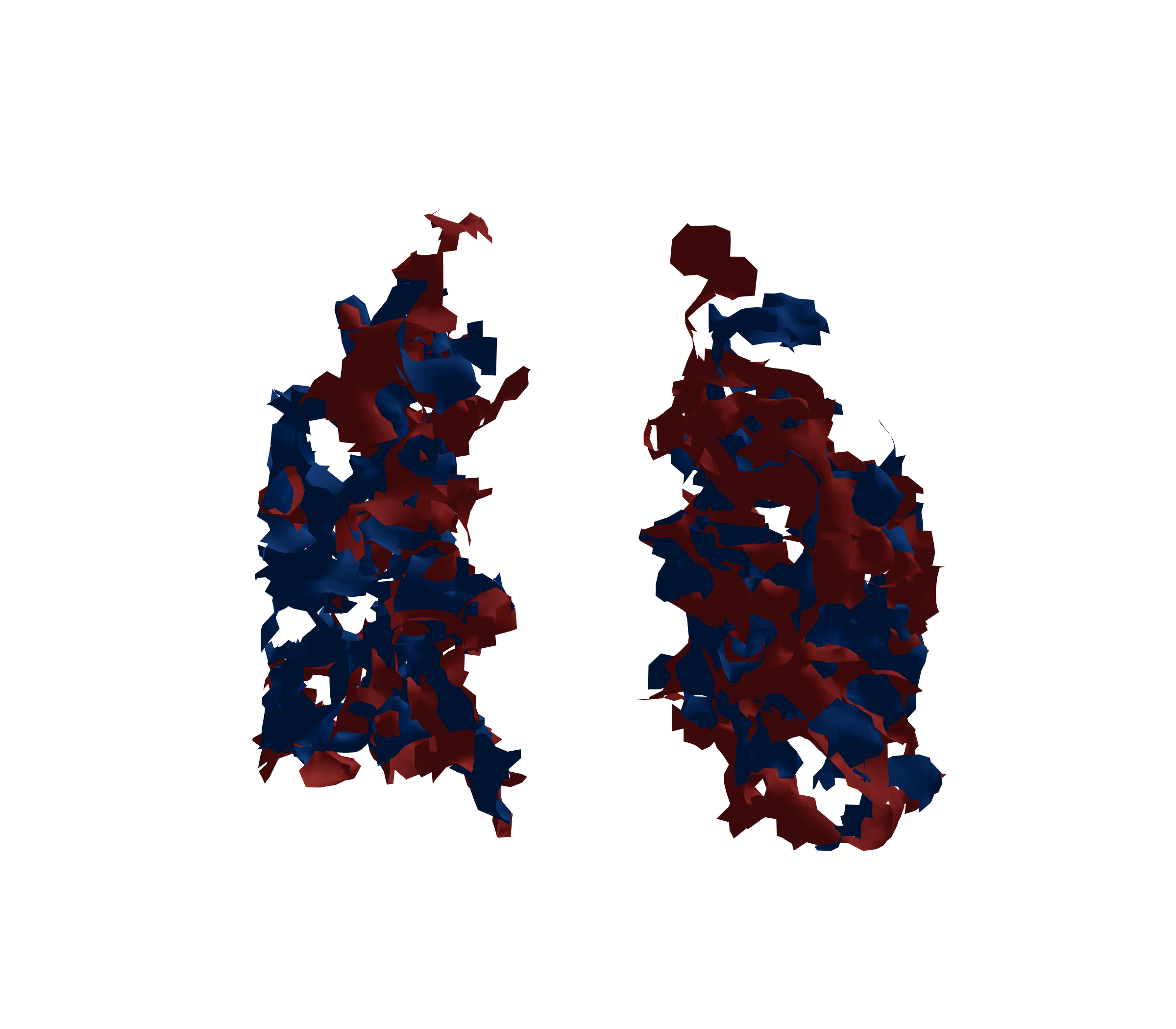 Surface Mesh - Front View