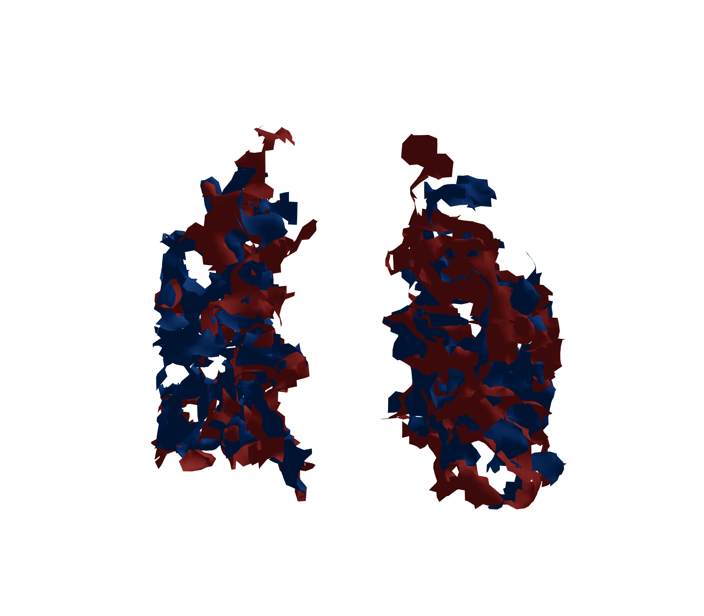 Surface Mesh - Front View