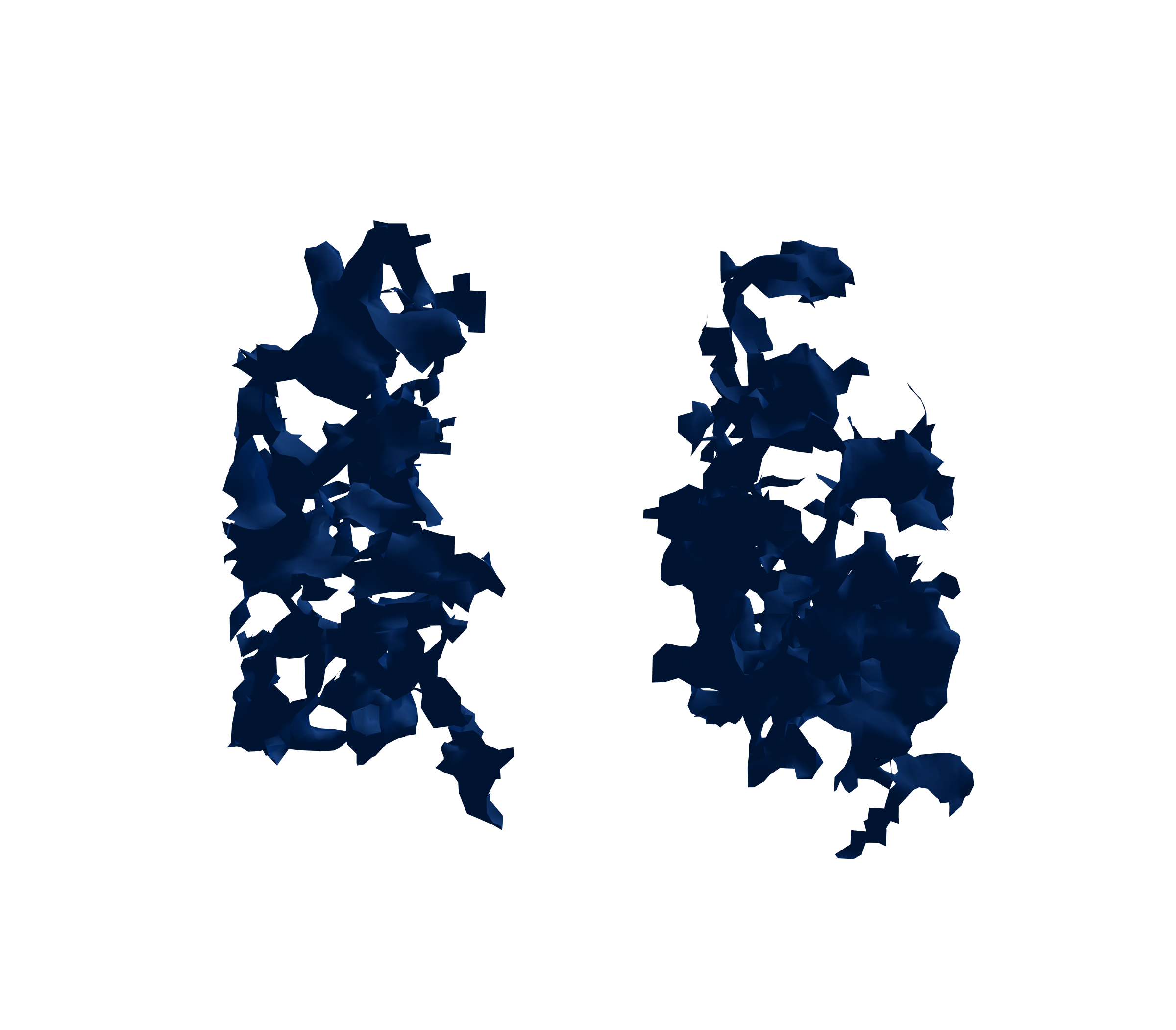 Surface Mesh (Inspiration) - Front View