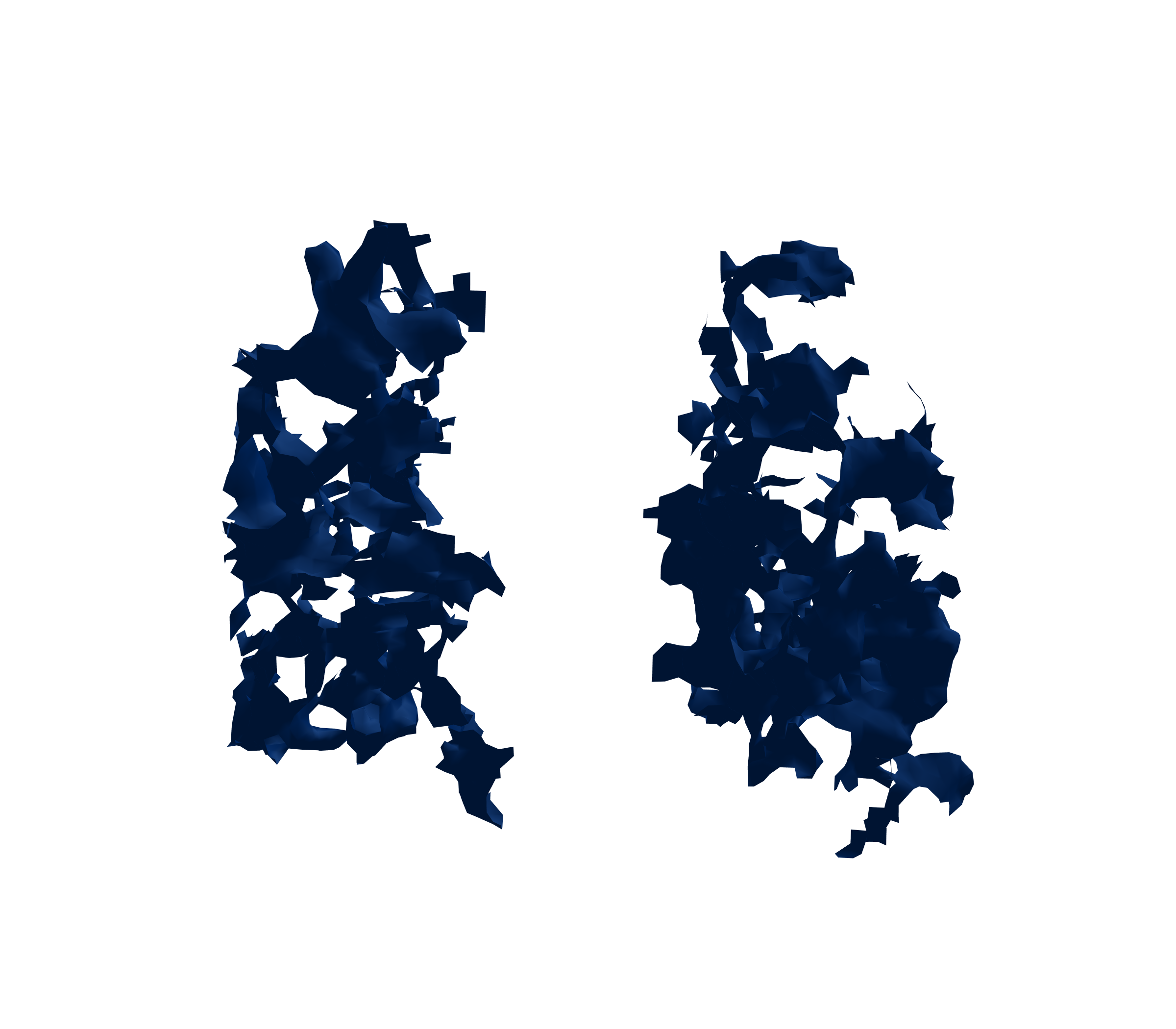 Surface Mesh (Inspiration) - Front View