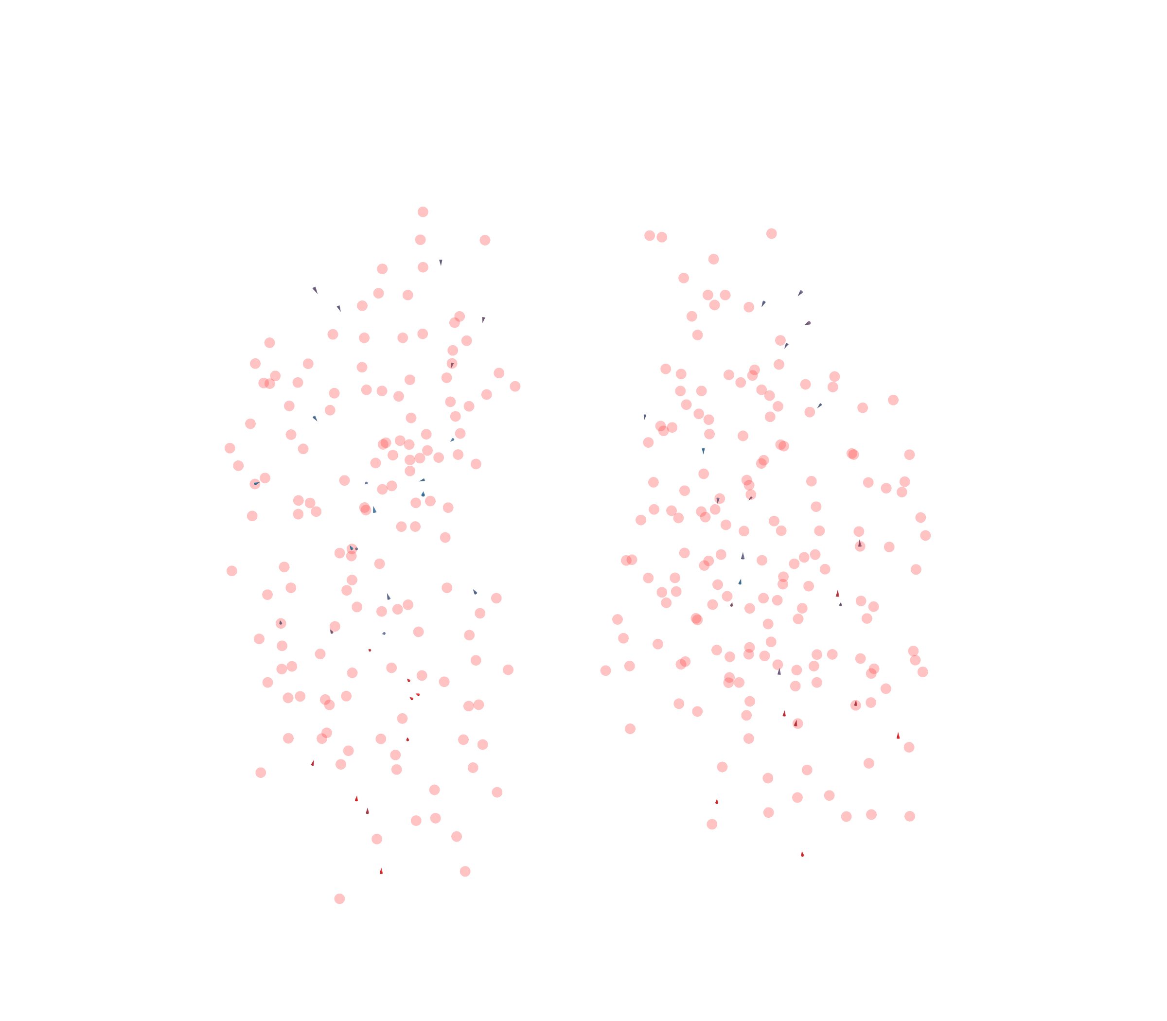 Displacement Vectors - Front View