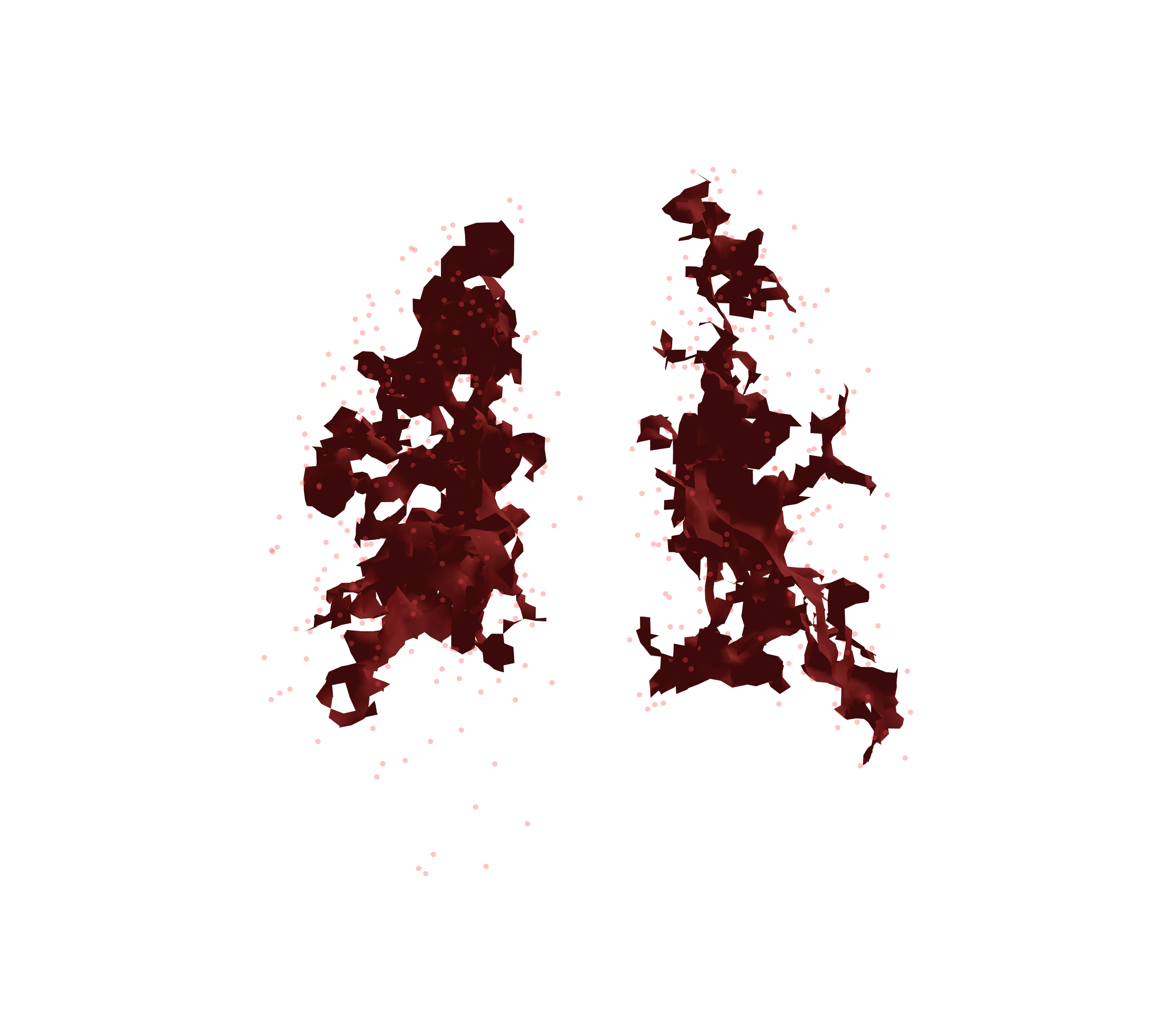 Combined Visualization (Expiration) - Back View