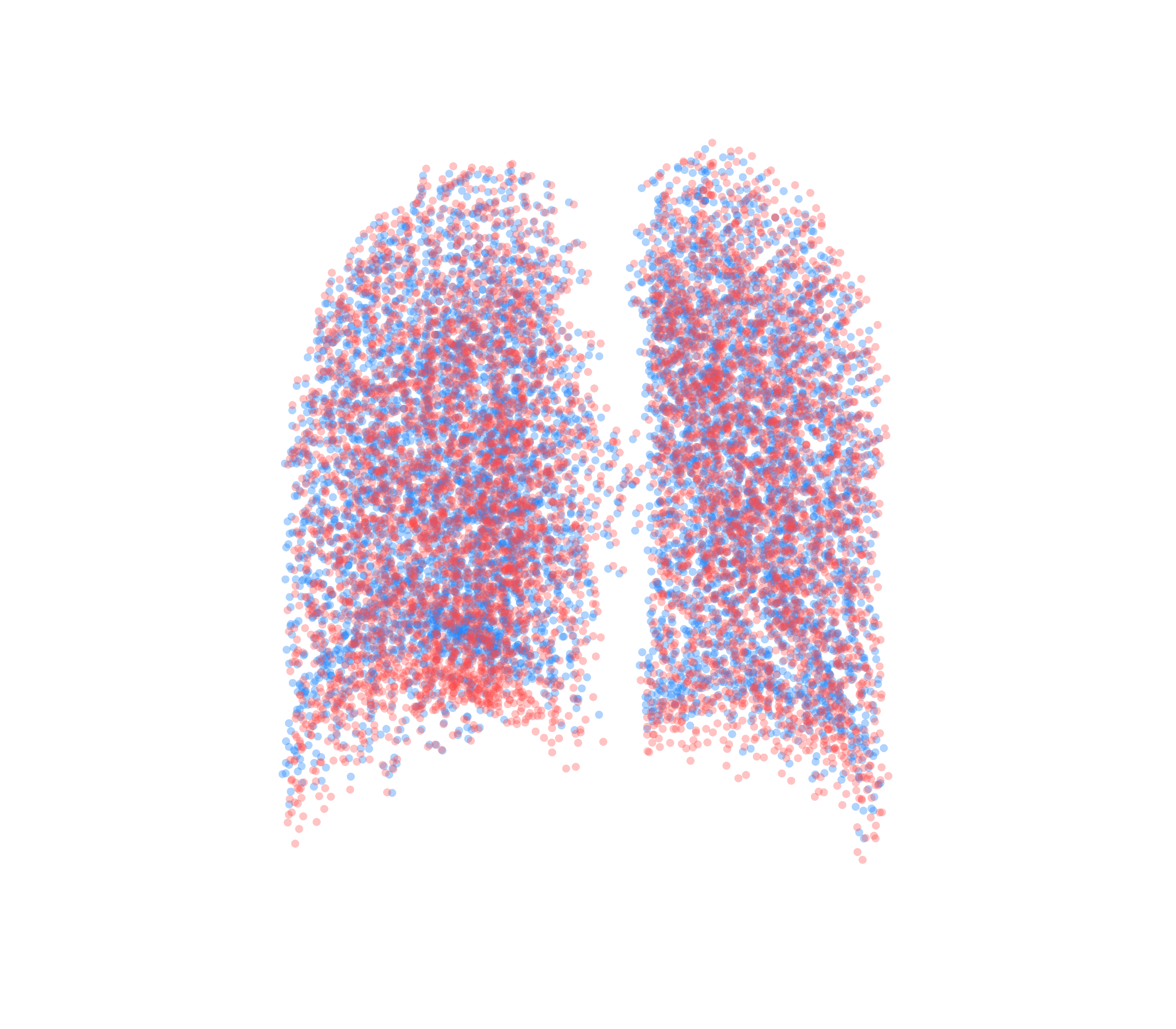 Point Cloud - Back View