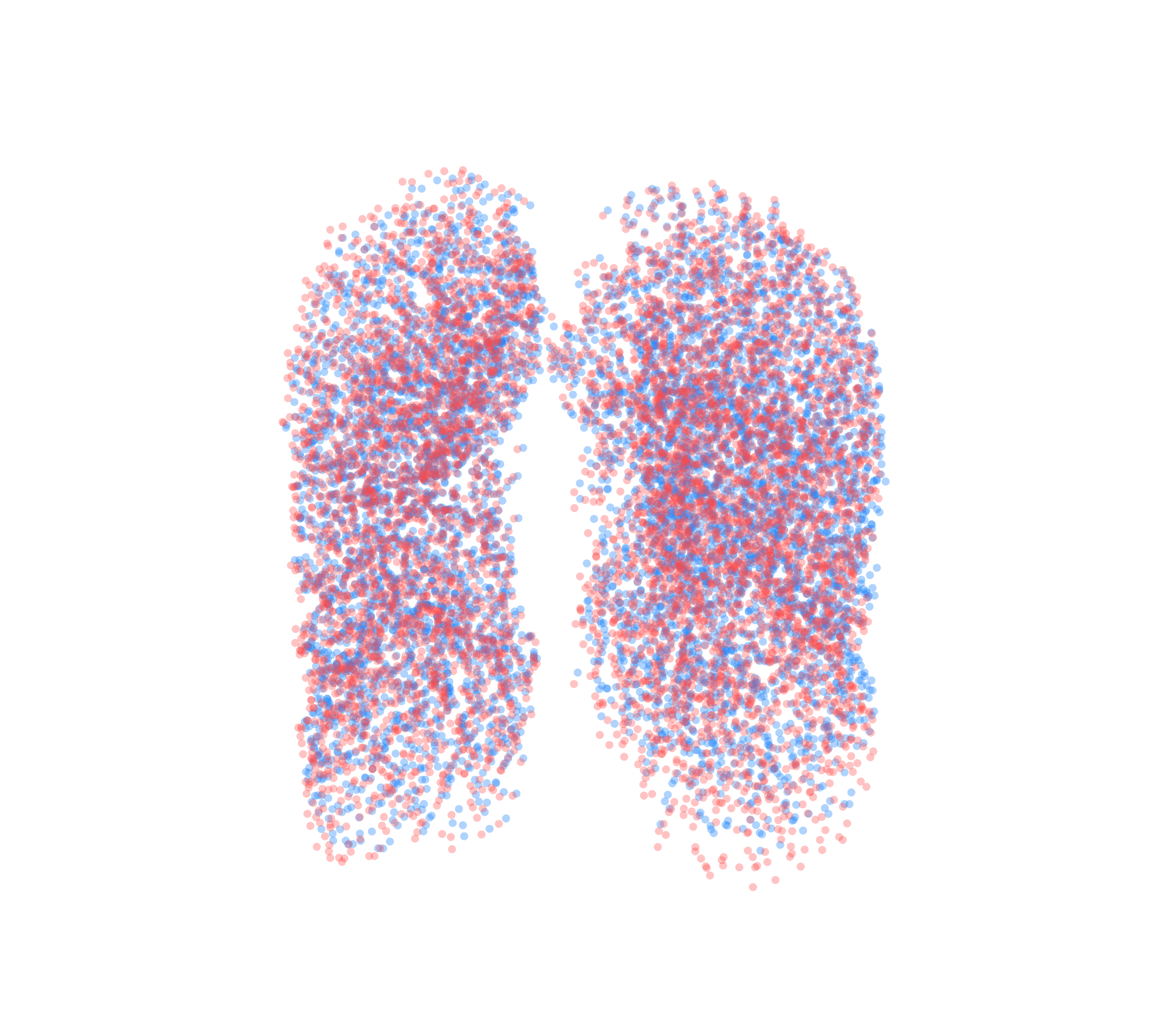 Point Cloud - Front View