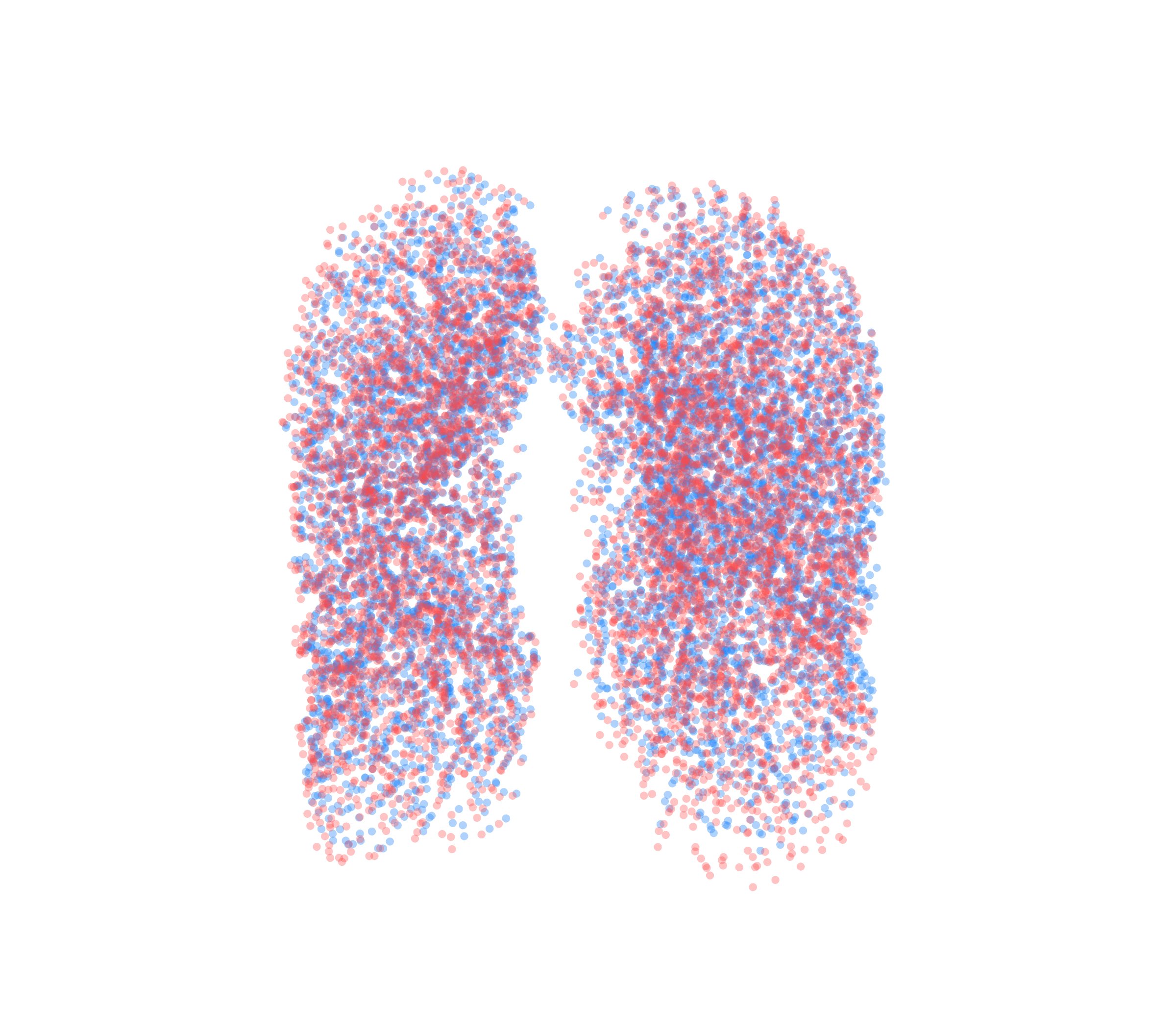 Point Cloud - Front View
