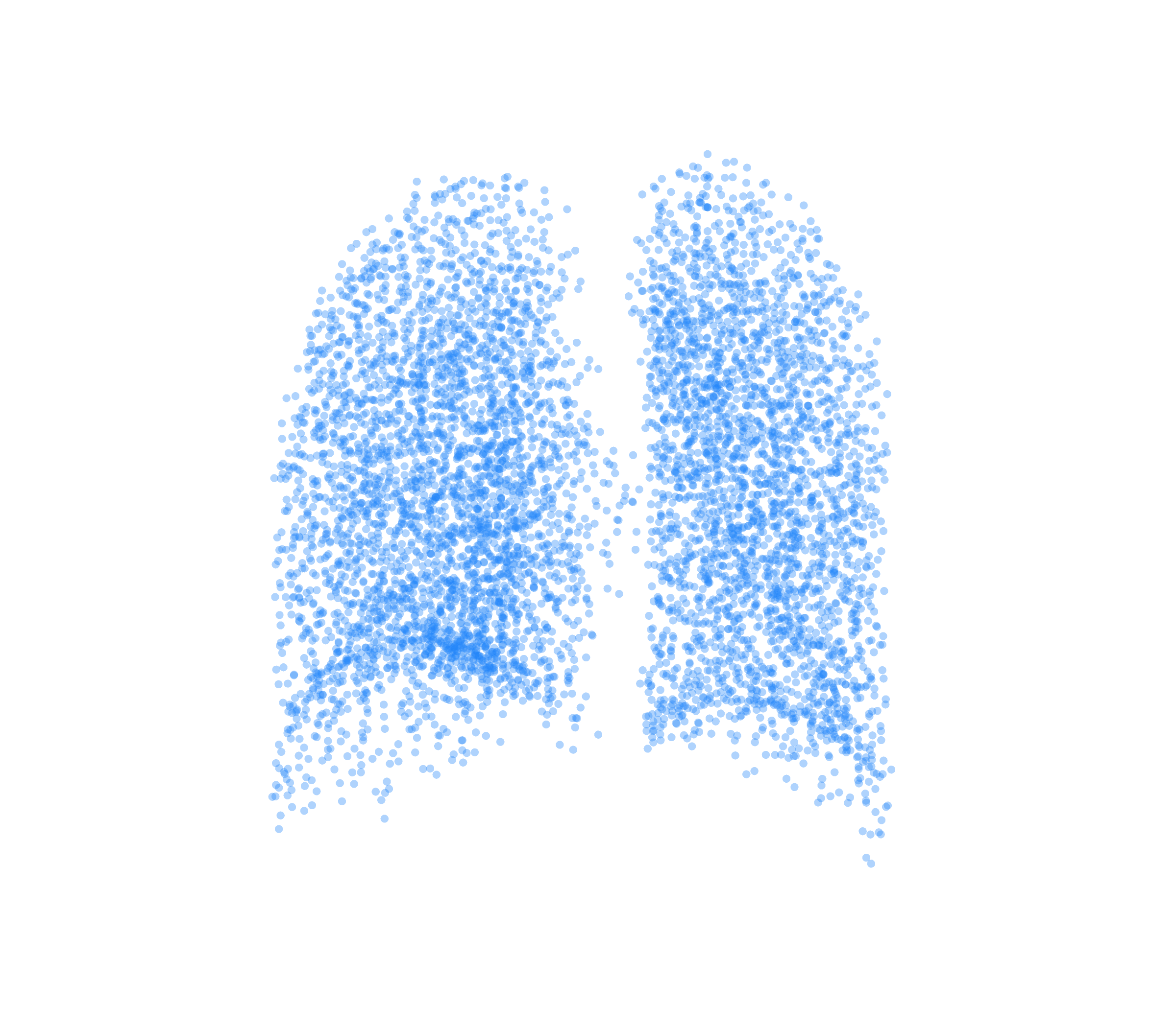 Point Cloud (Inspiration) - Back View