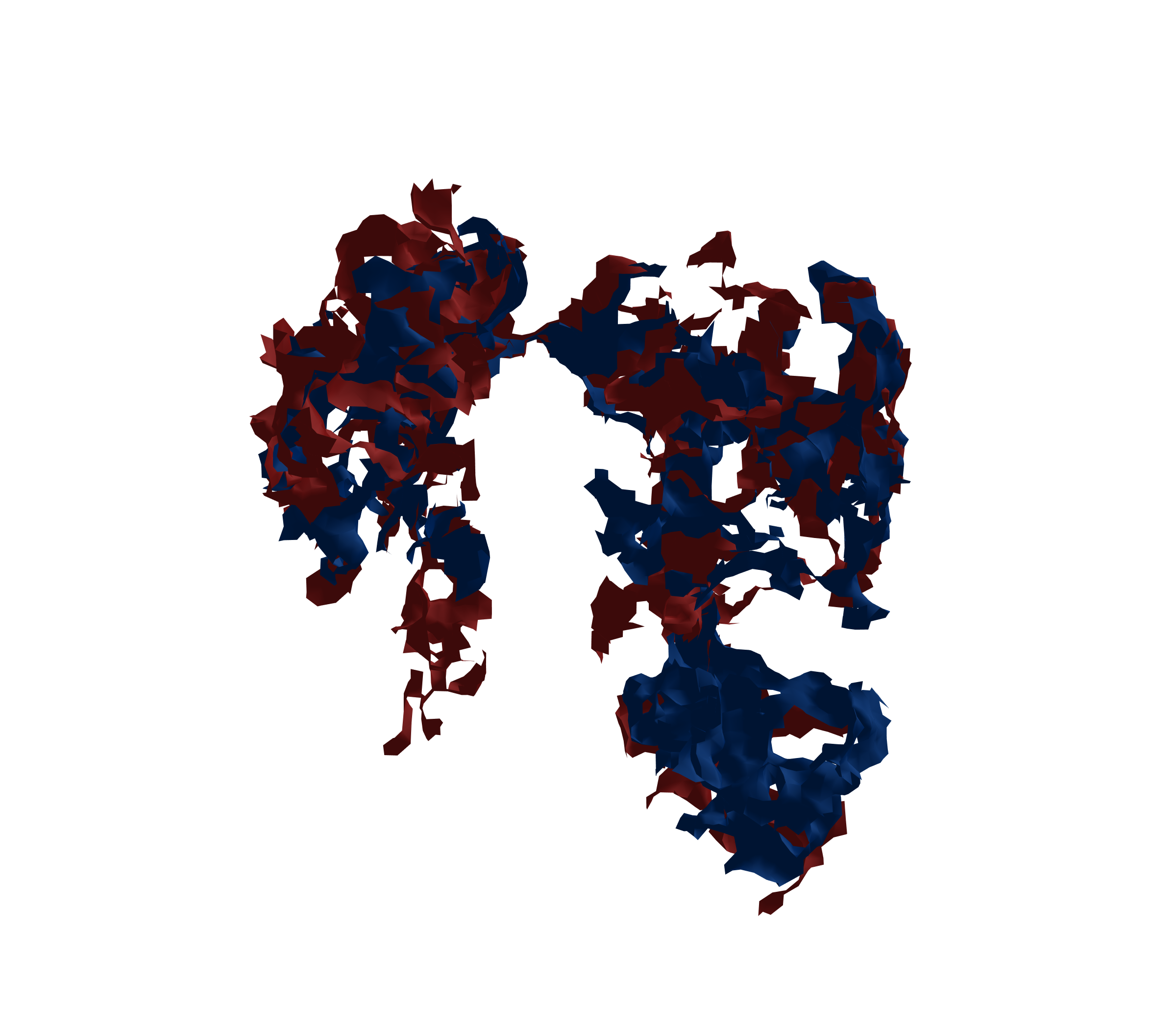 Surface Mesh - Front View