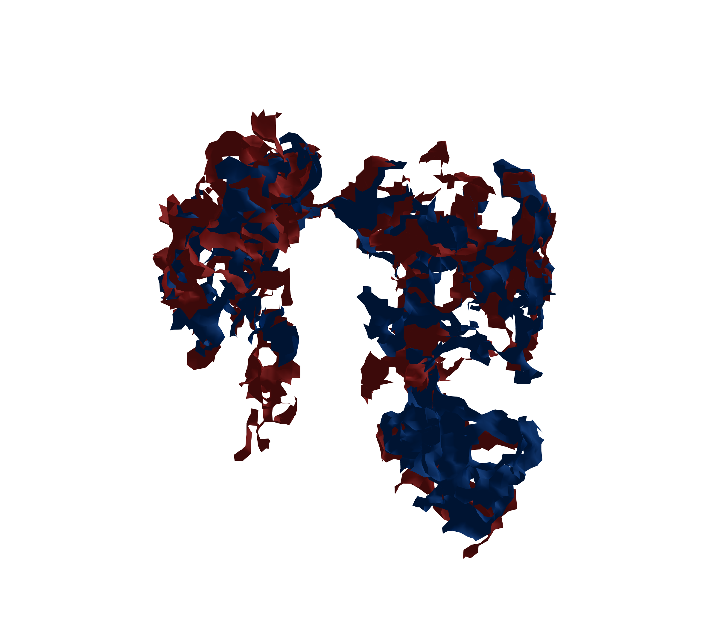 Surface Mesh - Front View