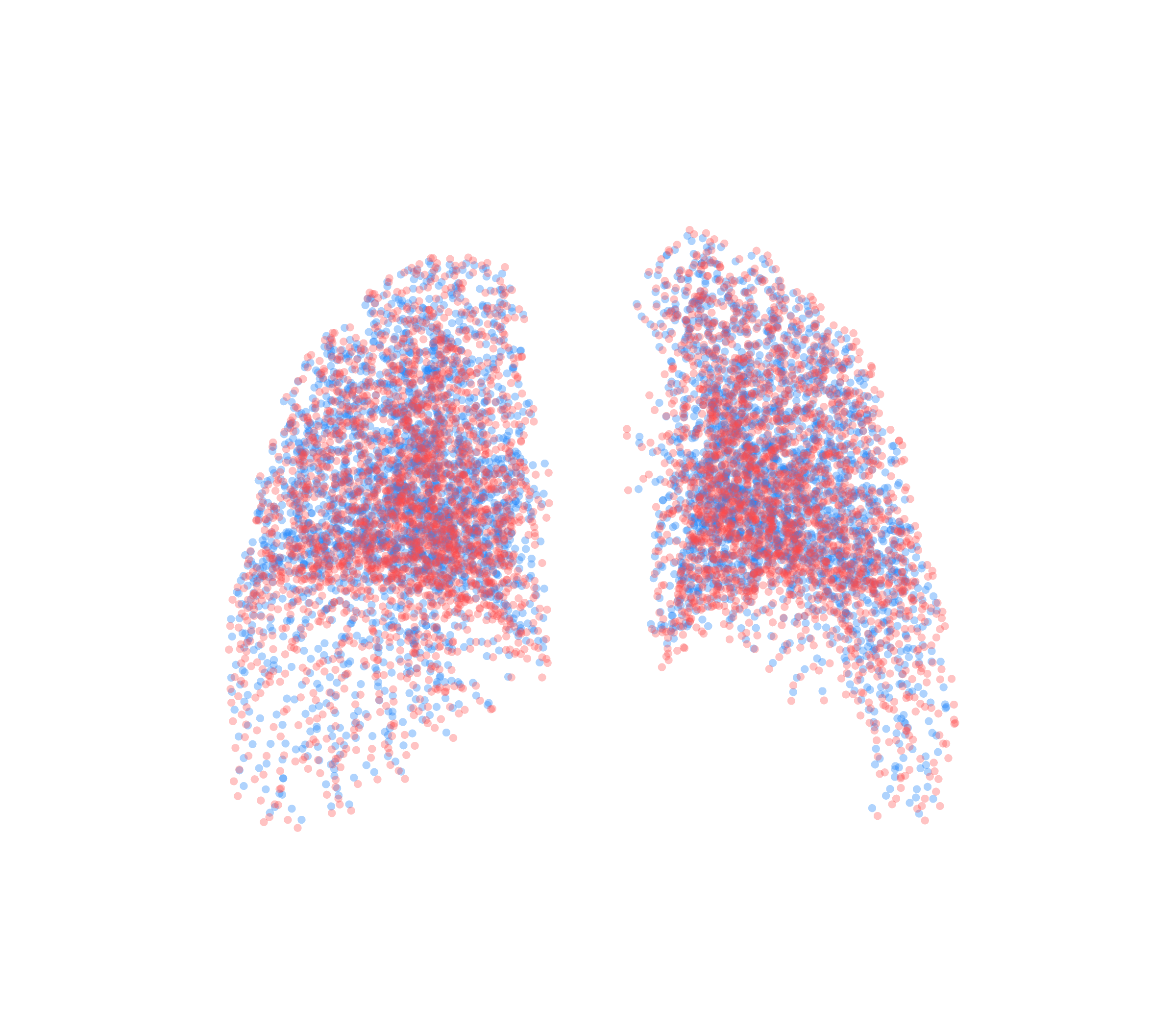Point Cloud - Back View