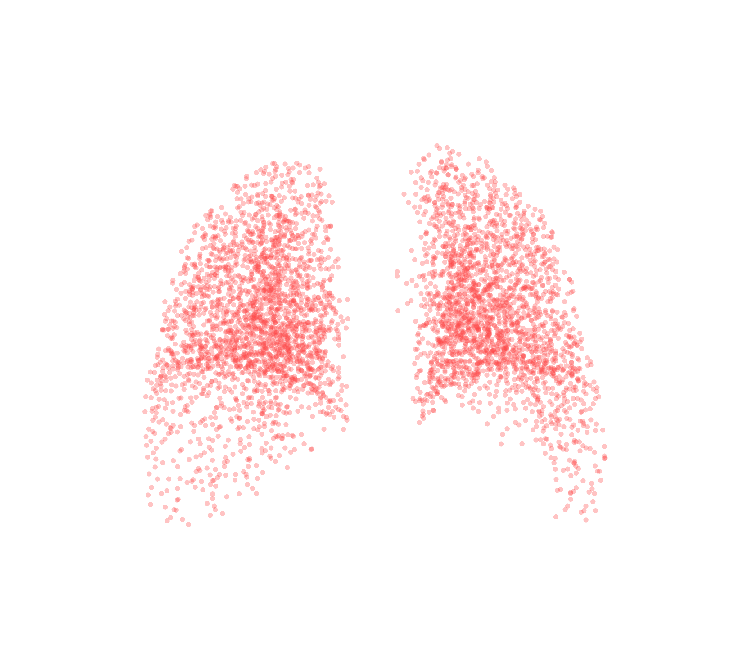 Point Cloud (Expiration) - Back View