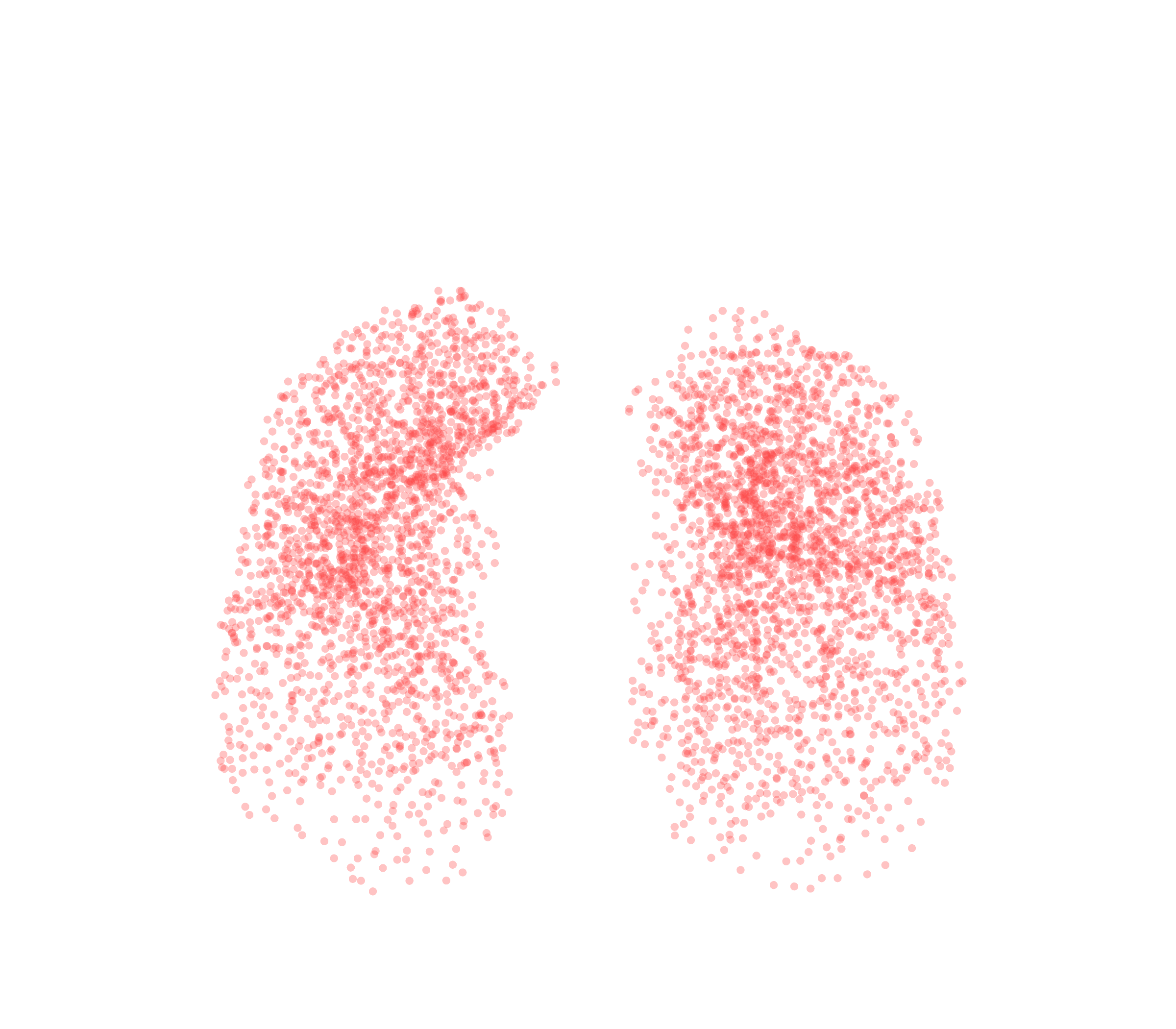 Point Cloud (Expiration) - Front View