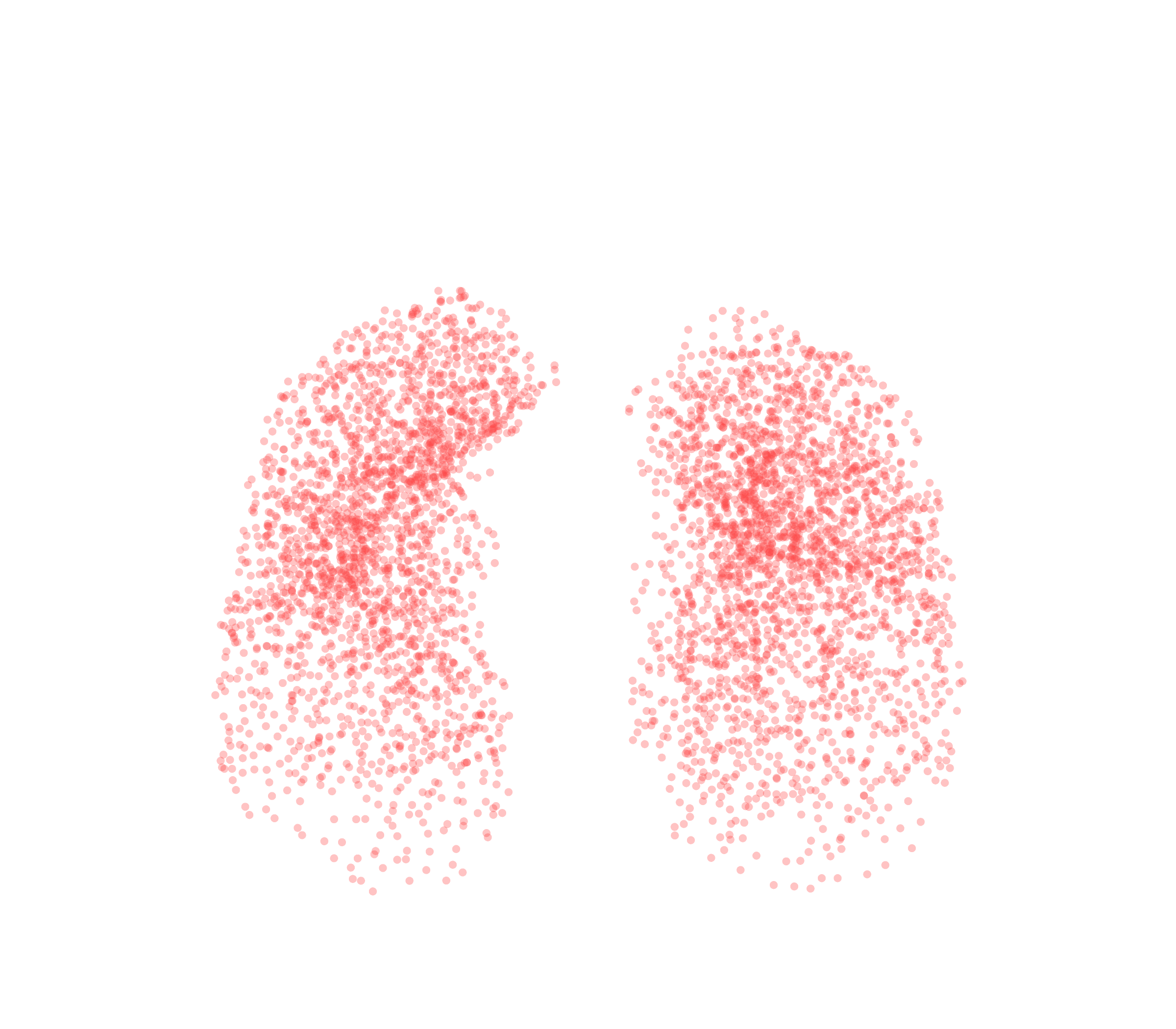 Point Cloud (Expiration) - Front View
