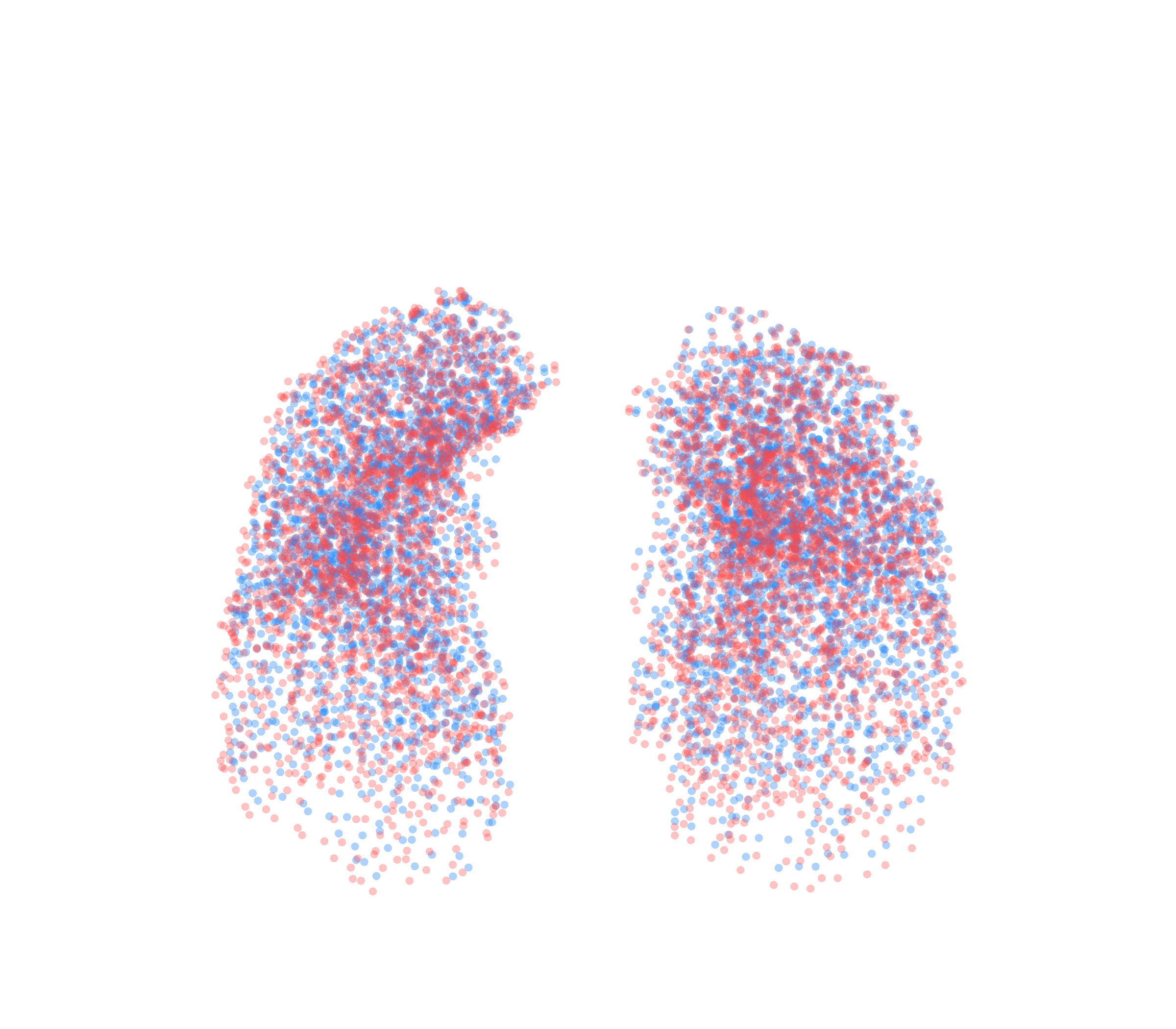 Point Cloud - Front View