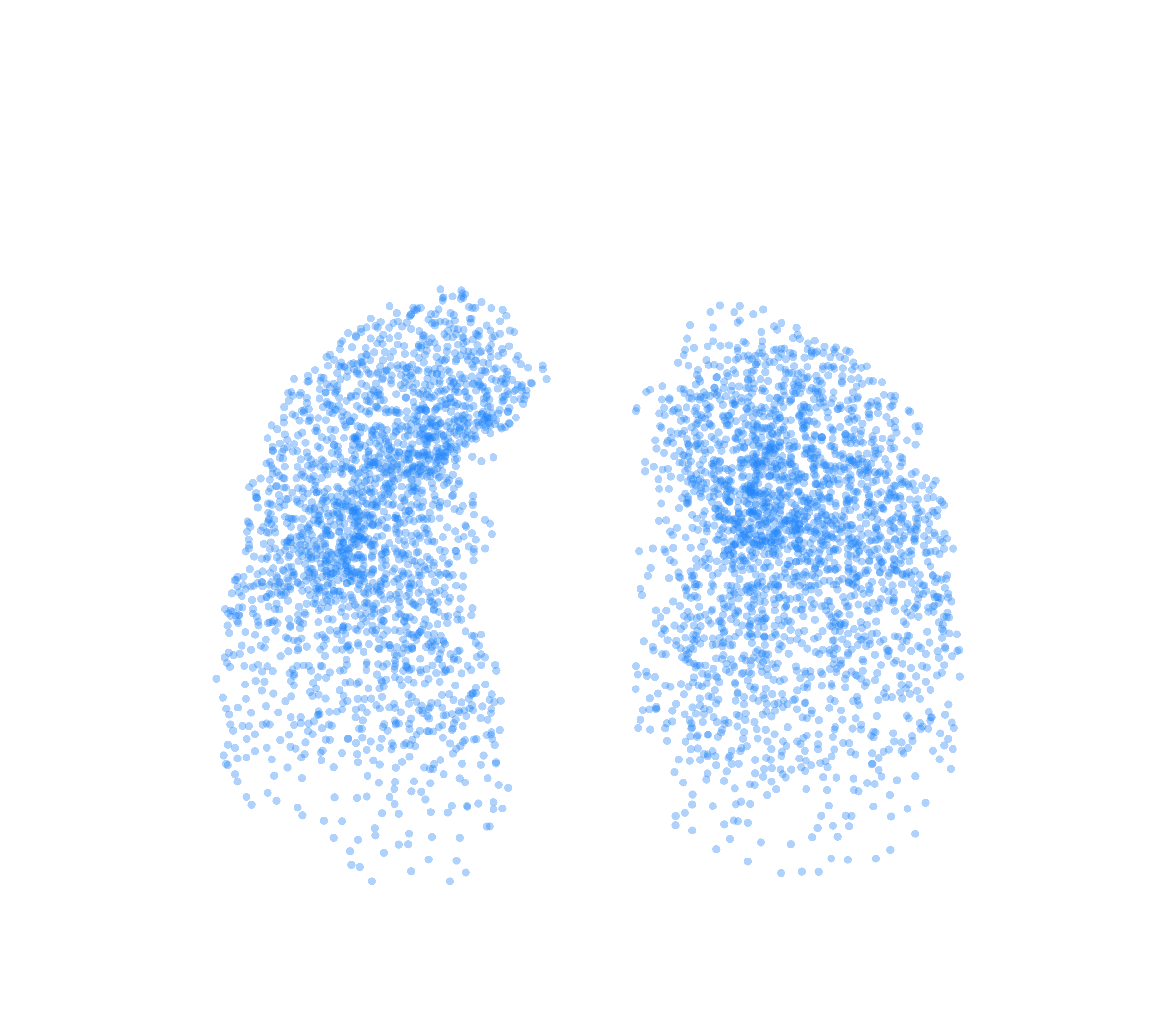 Point Cloud (Inspiration) - Front View