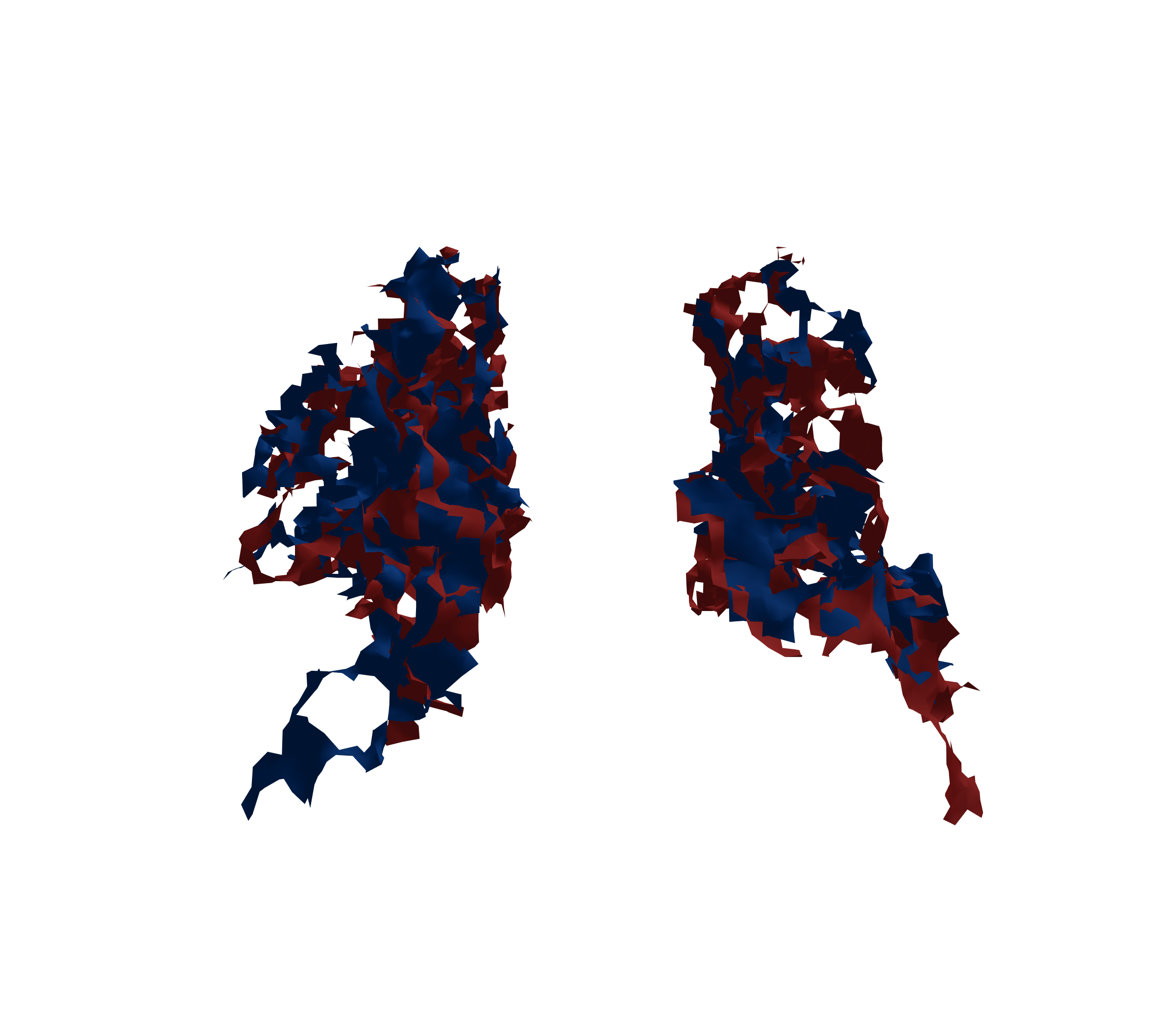 Surface Mesh - Back View