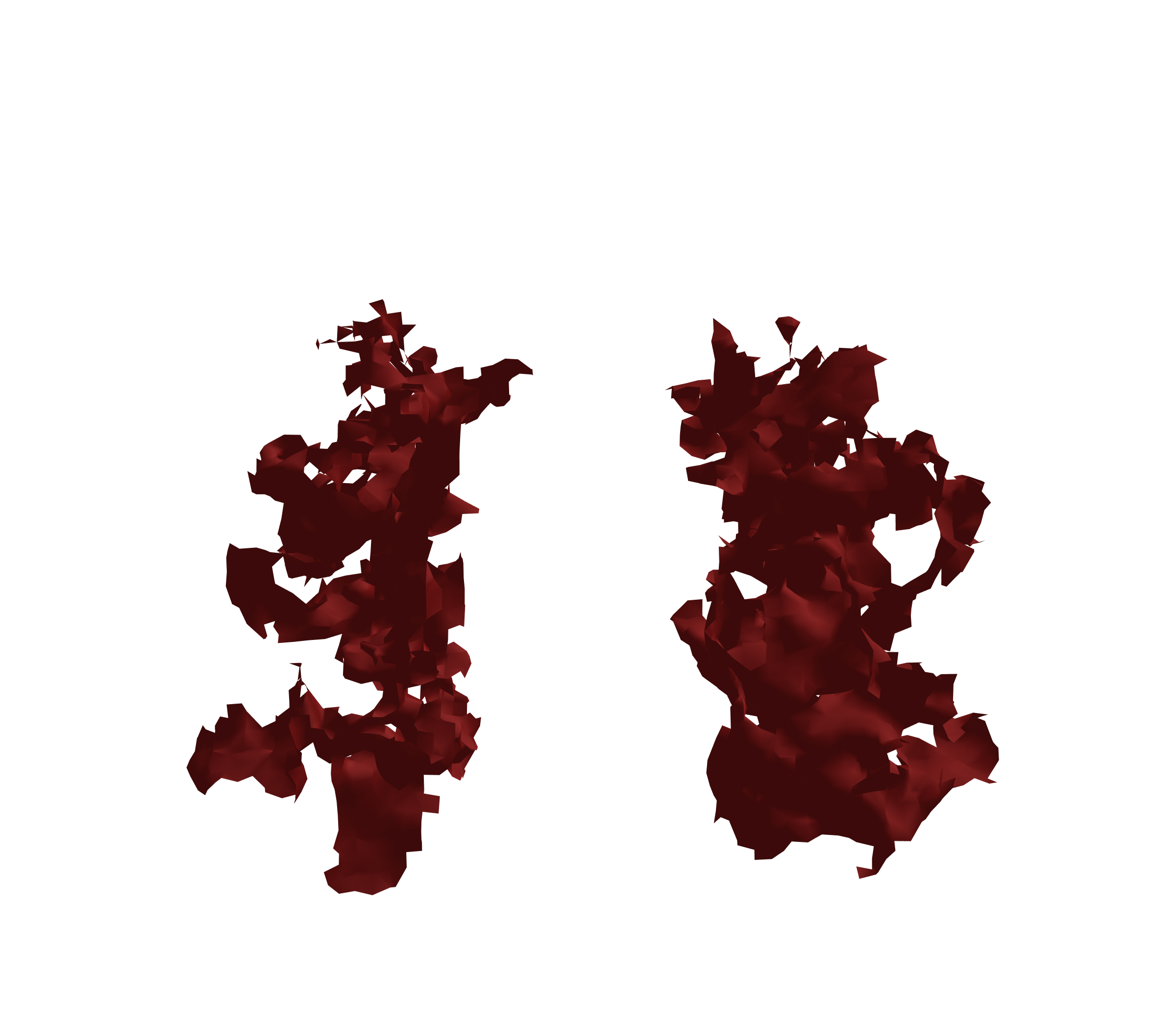 Surface Mesh (Expiration) - Front View