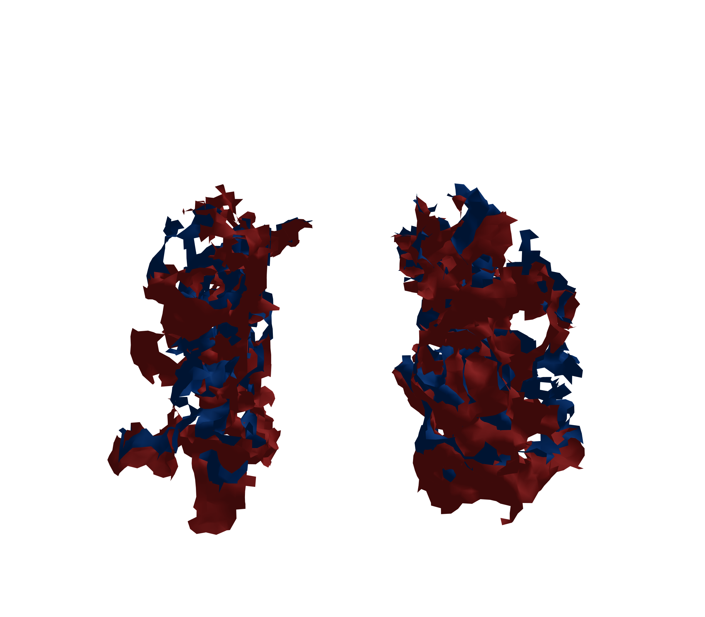 Surface Mesh - Front View