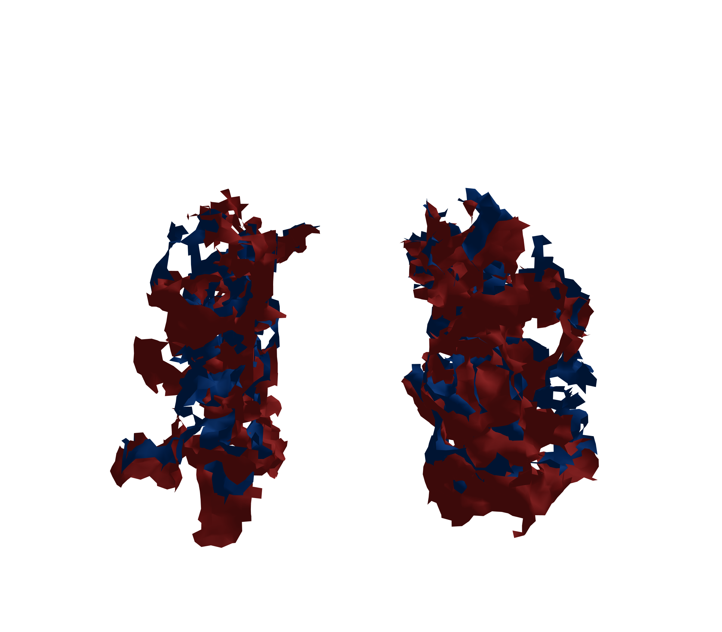 Surface Mesh - Front View