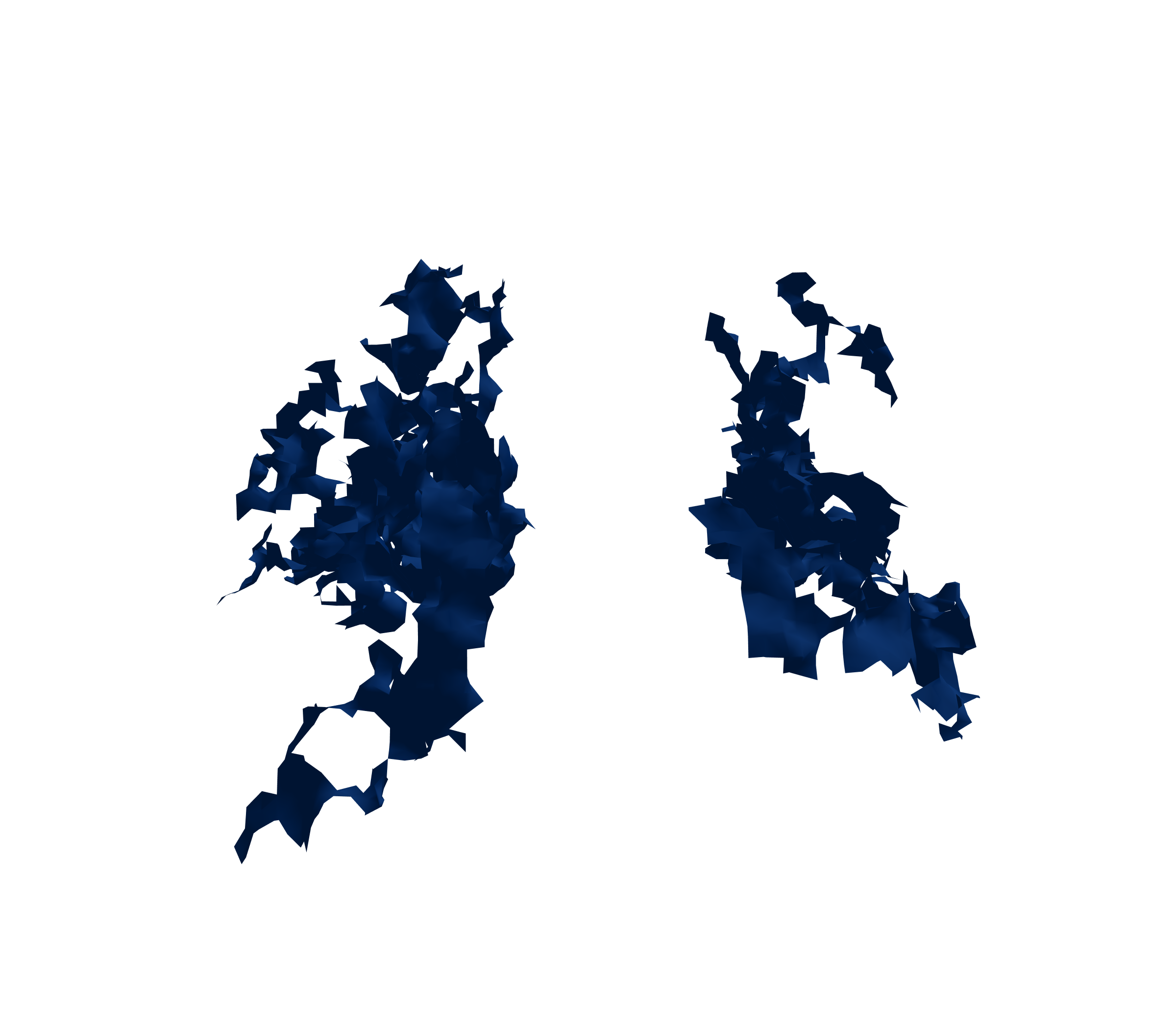 Surface Mesh (Inspiration) - Back View