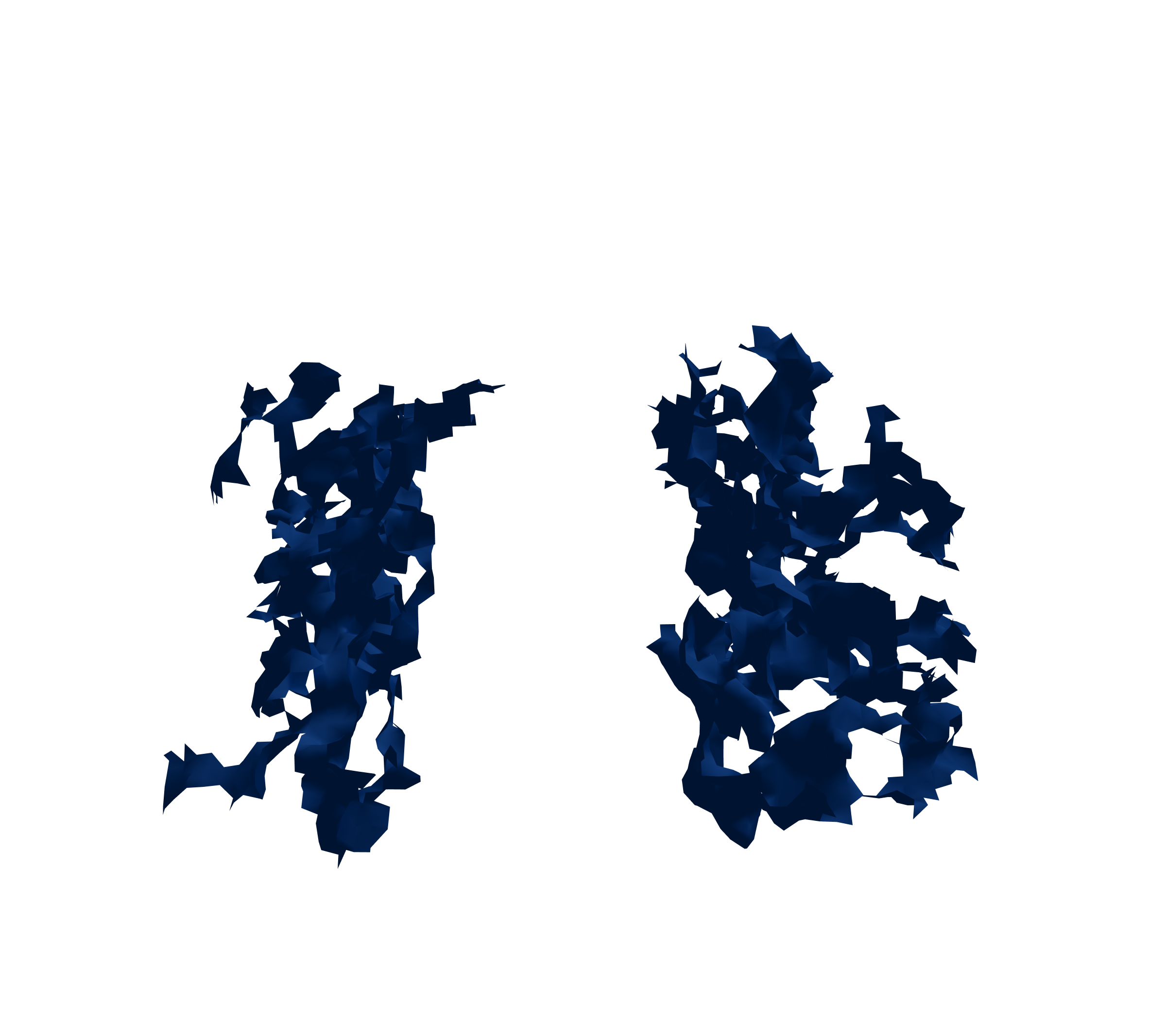 Surface Mesh (Inspiration) - Front View