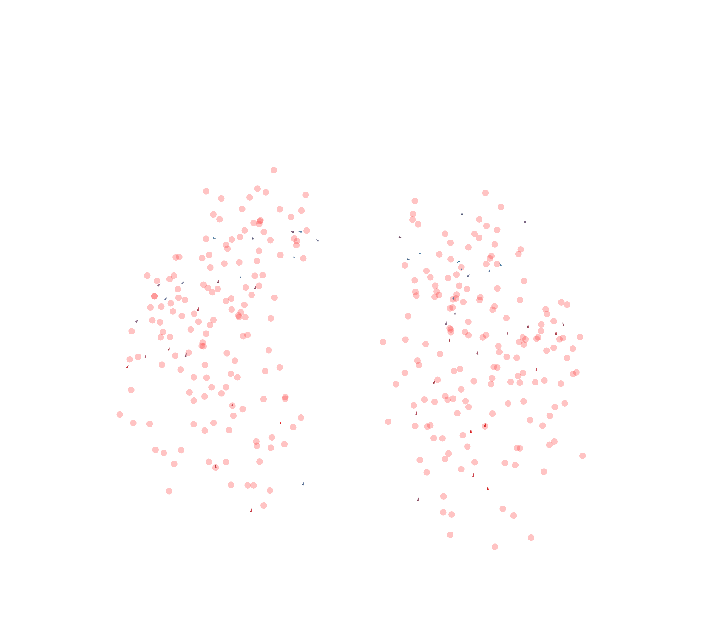 Displacement Vectors - Front View