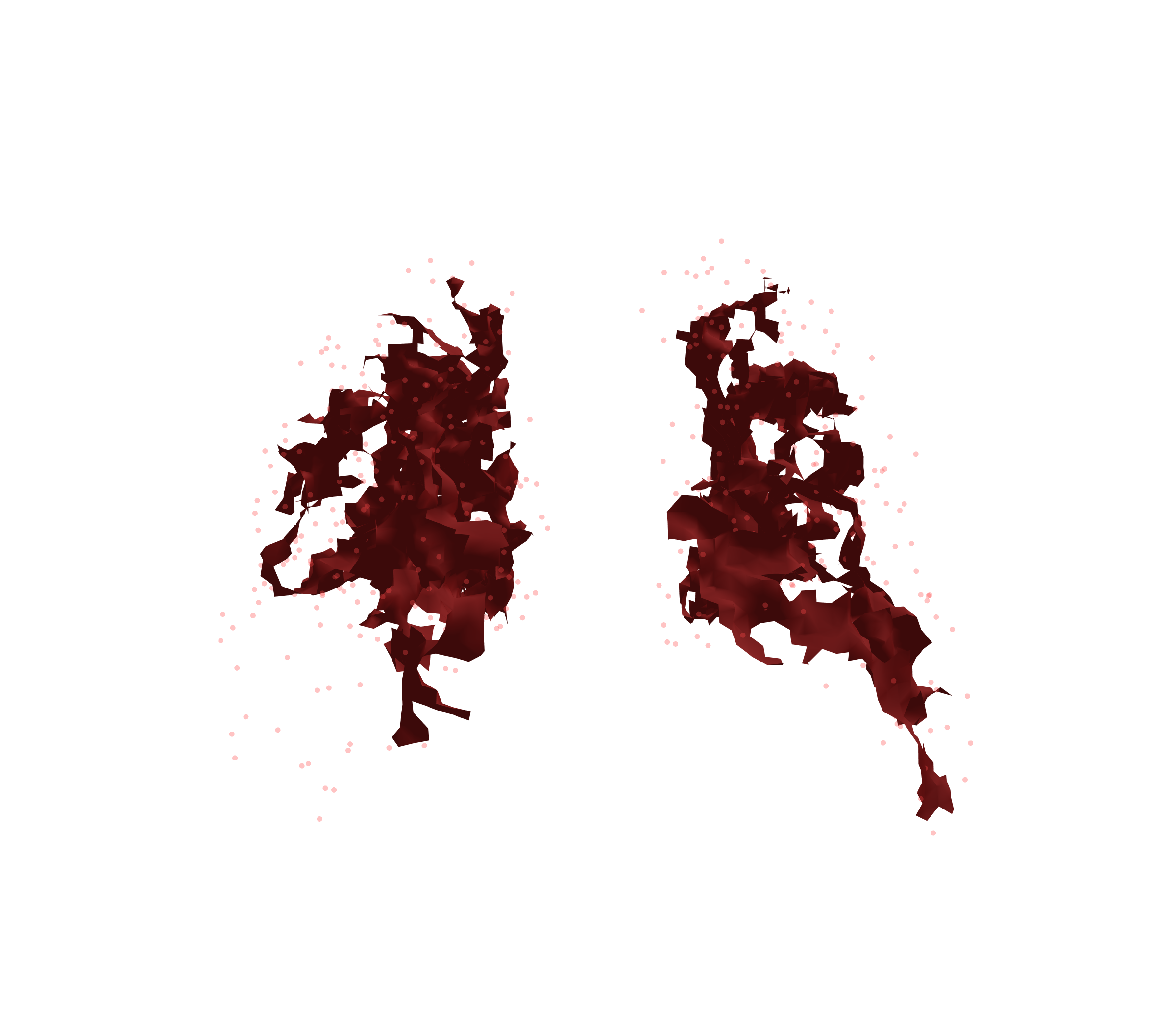 Combined Visualization (Expiration) - Back View