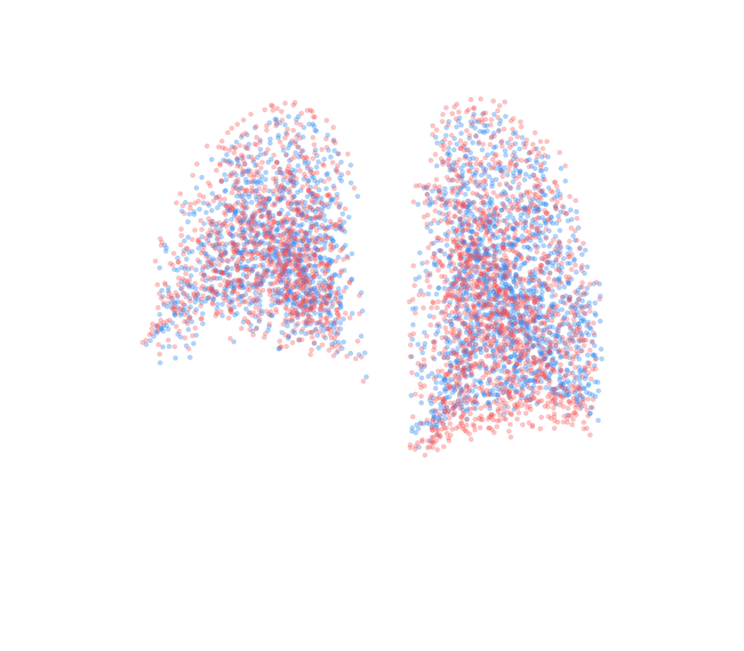Point Cloud - Back View