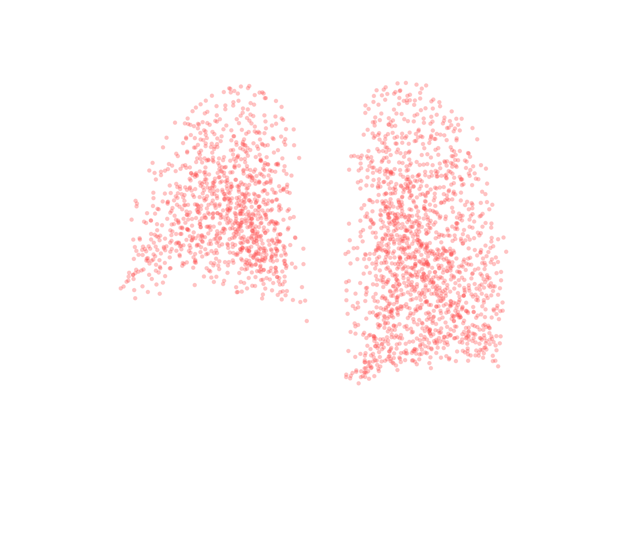 Point Cloud (Expiration) - Back View