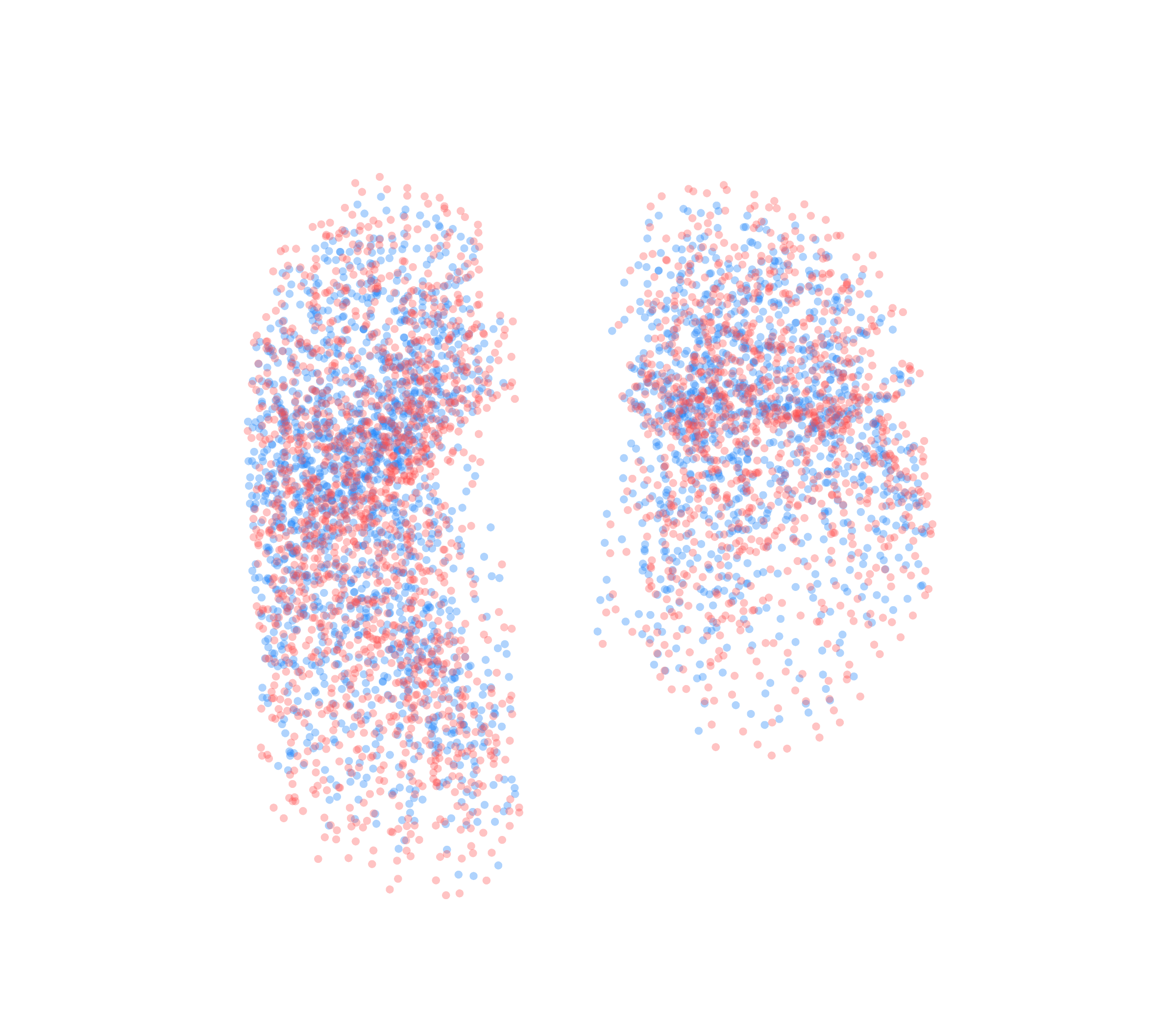Point Cloud - Front View