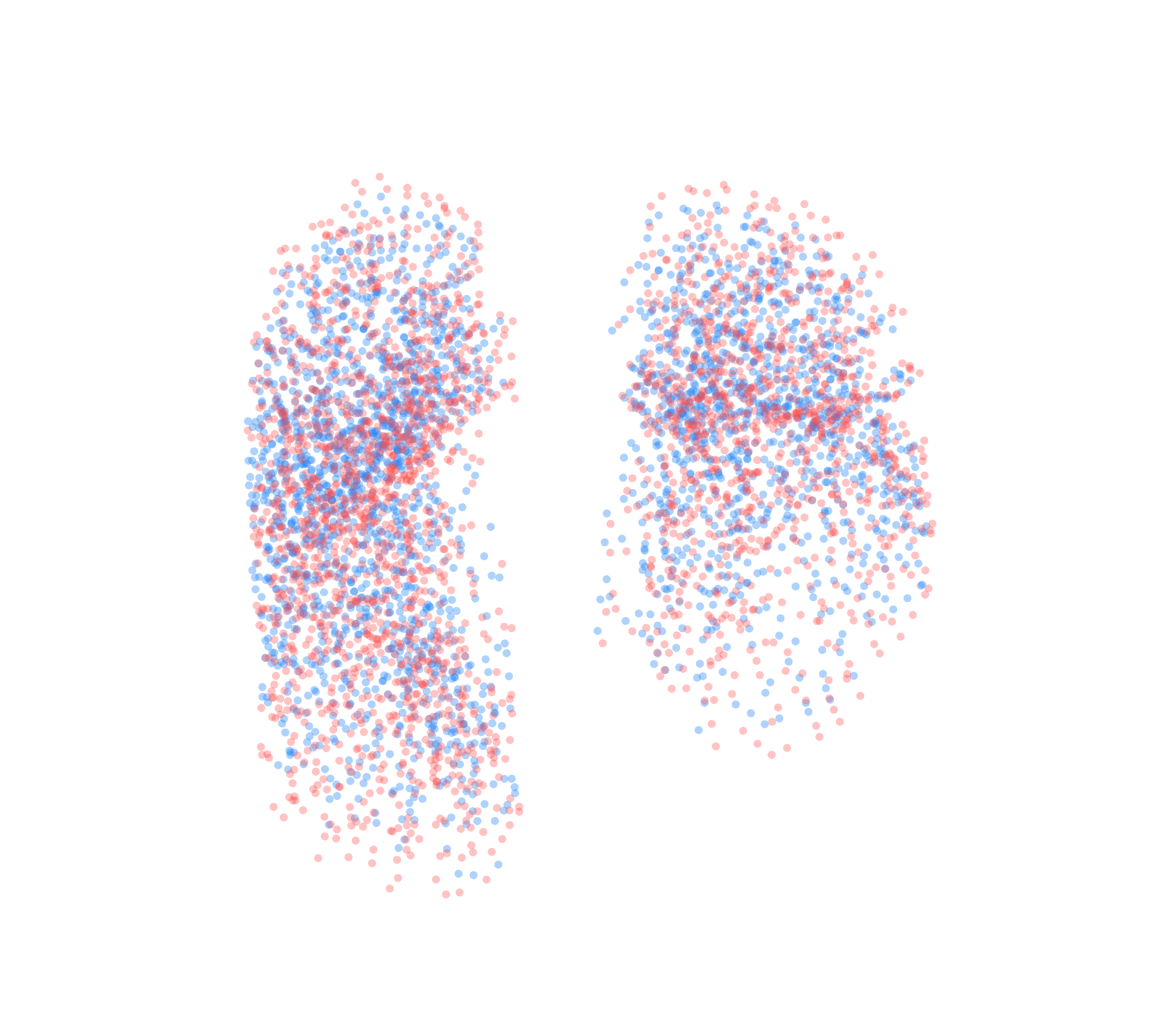 Point Cloud - Front View