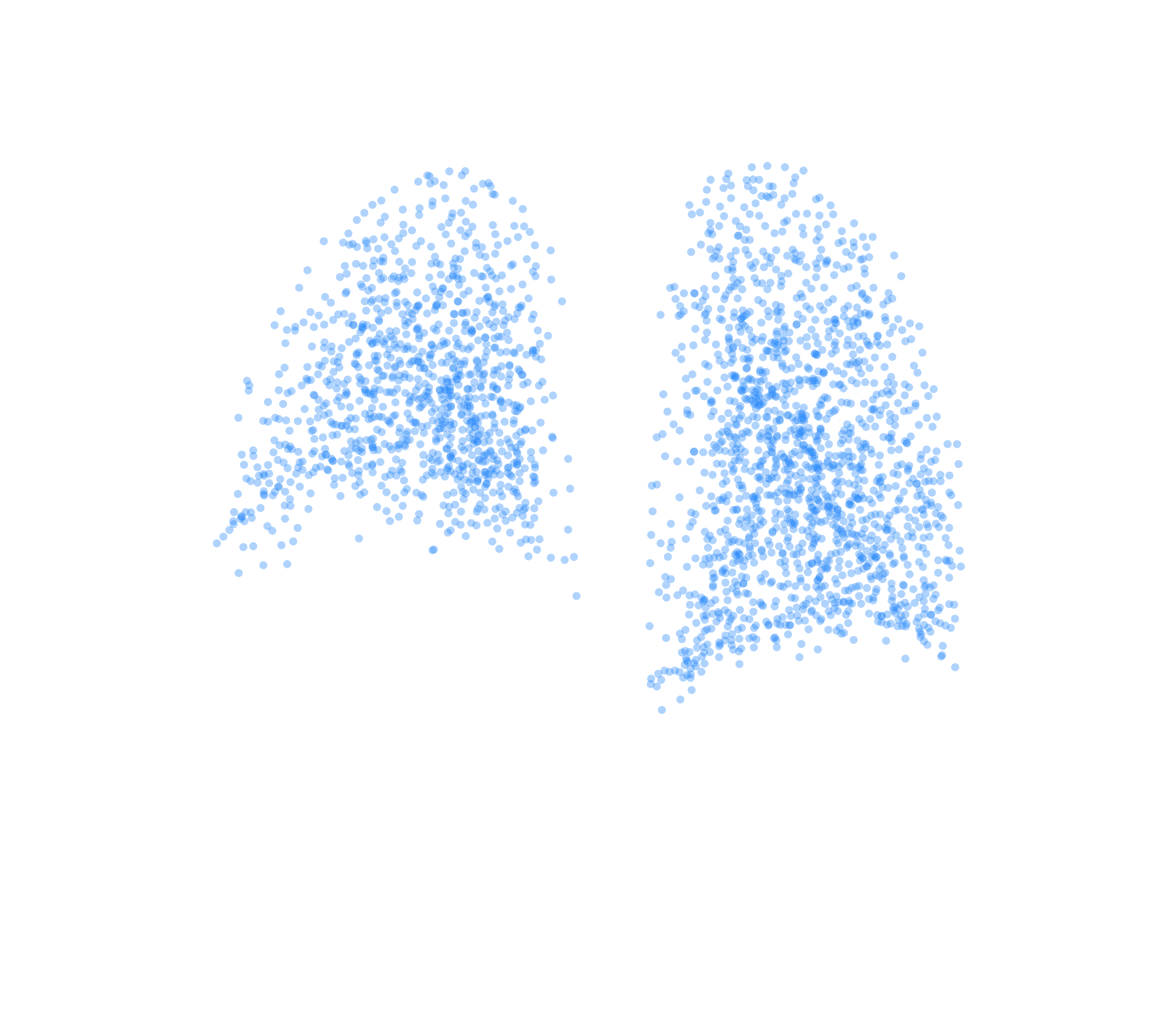 Point Cloud (Inspiration) - Back View